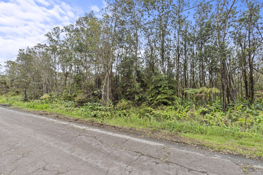 Wohi Pl Property Photo 2