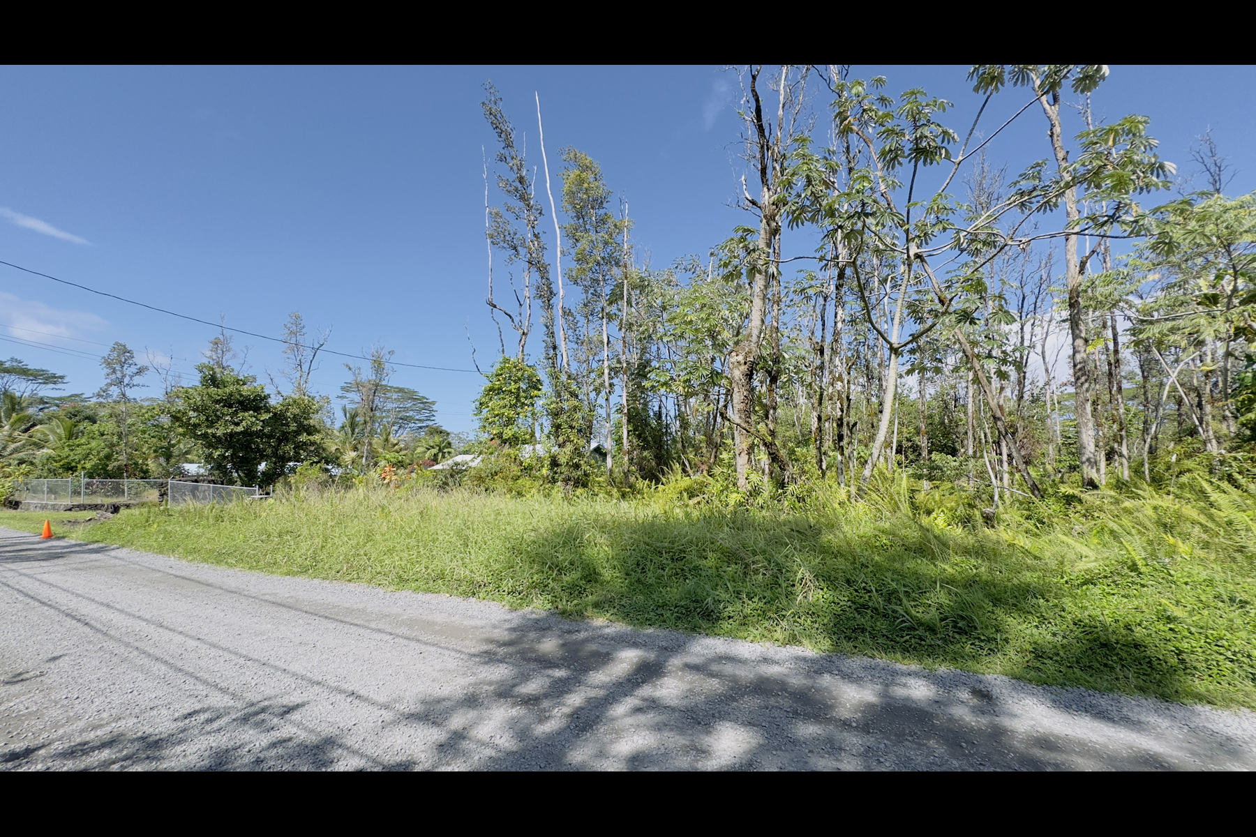 13th Ave Property Photo 6