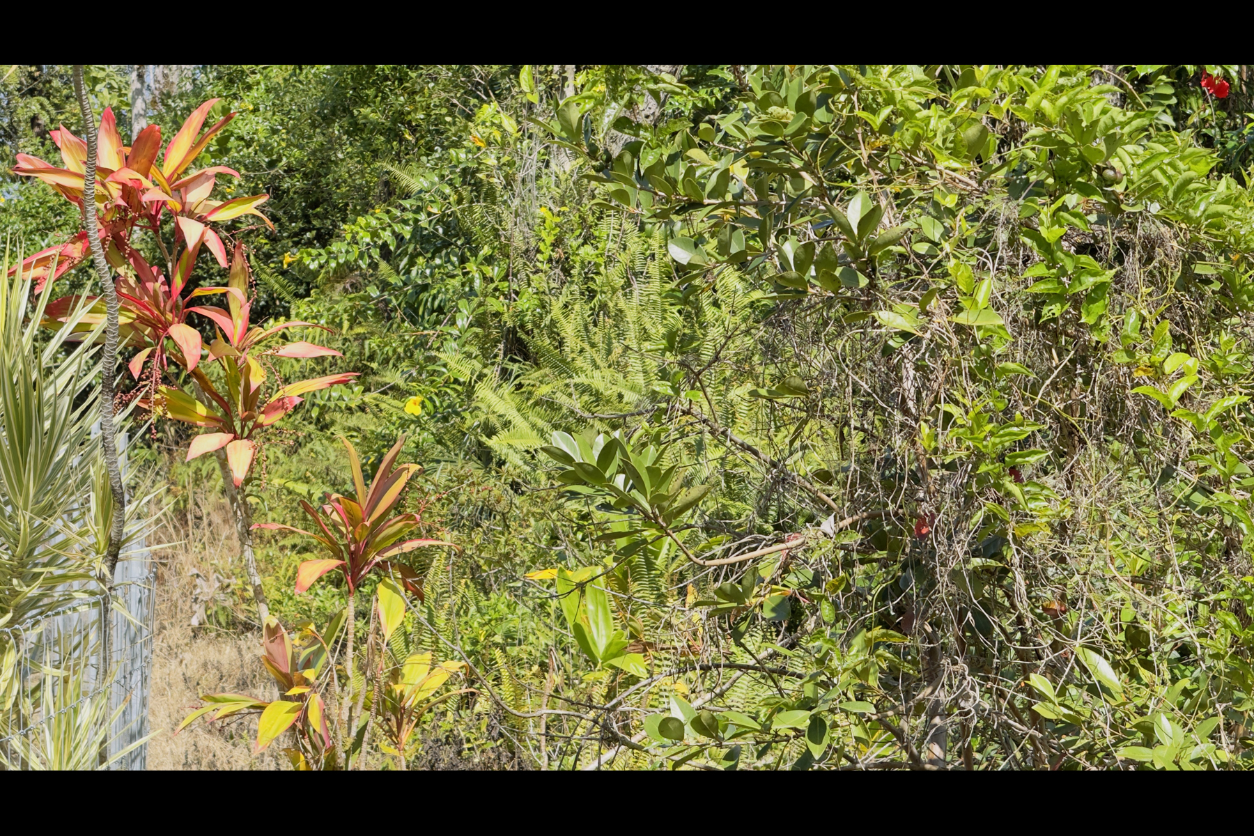 13th Ave Property Photo 14