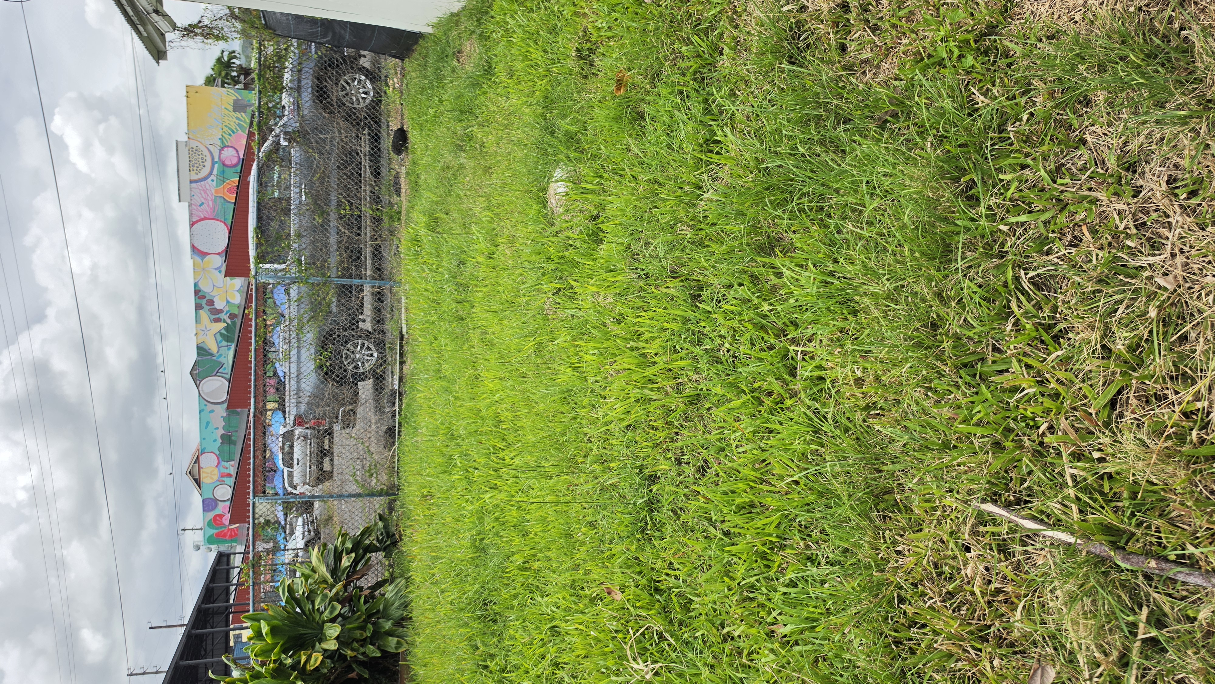 374 Kamehameha Ave Property Photo 6