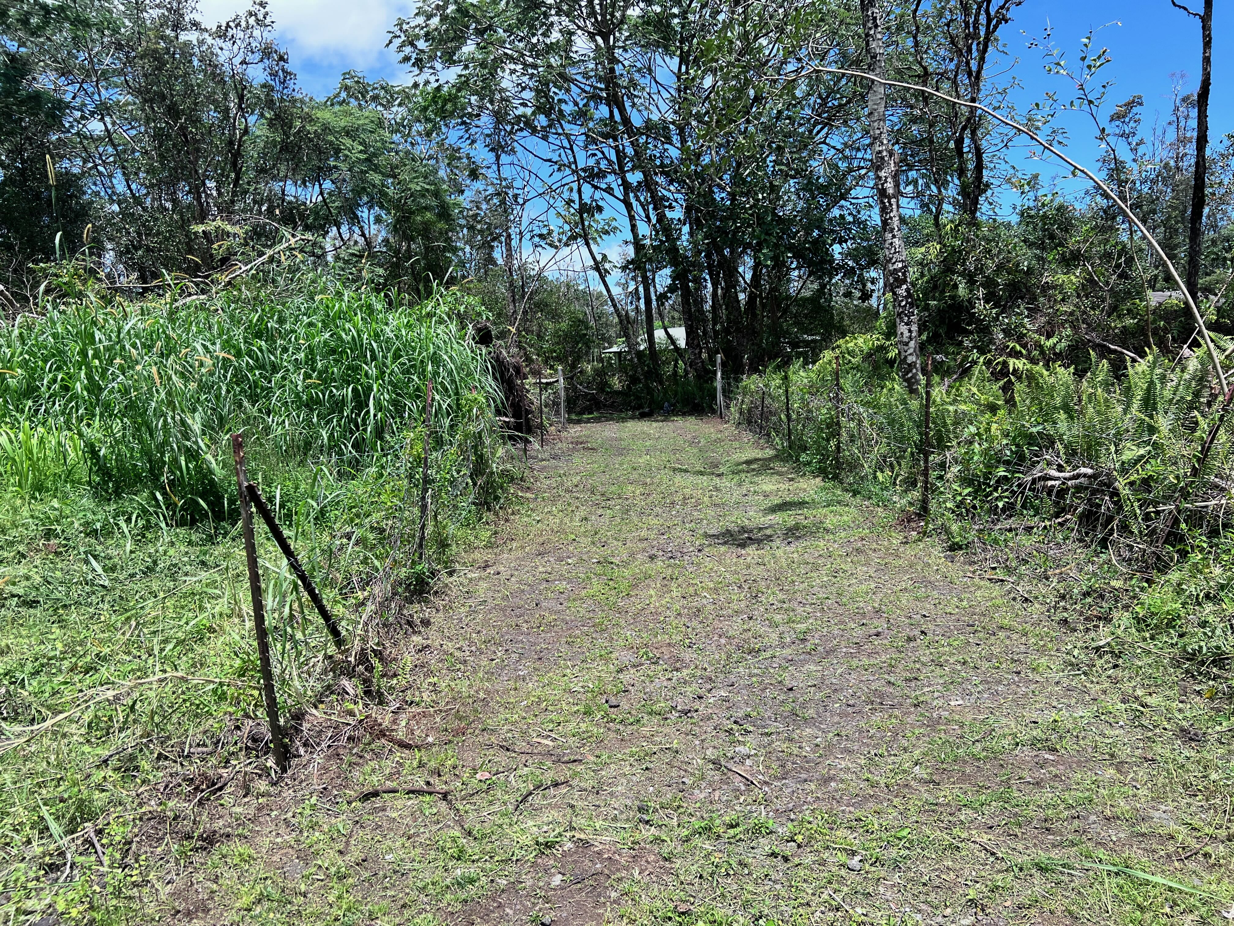 16-331 Kiele St Property Photo 2