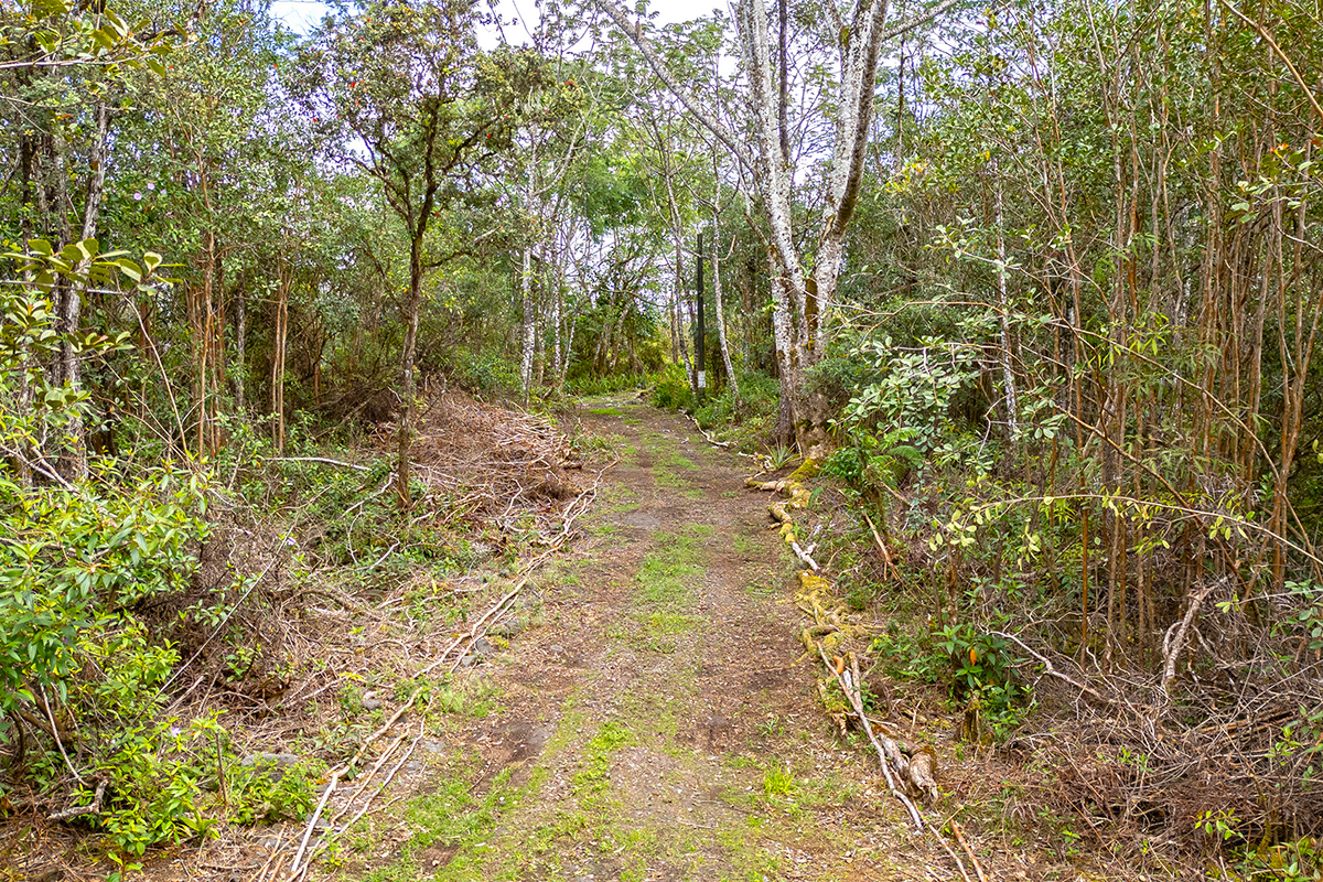 16-331 Kiele St Property Photo 5