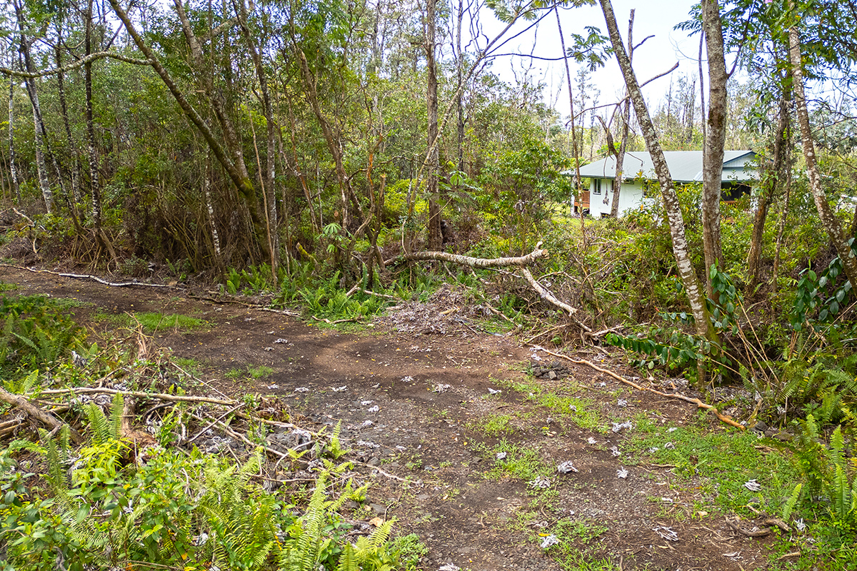 16-331 Kiele St Property Photo 7