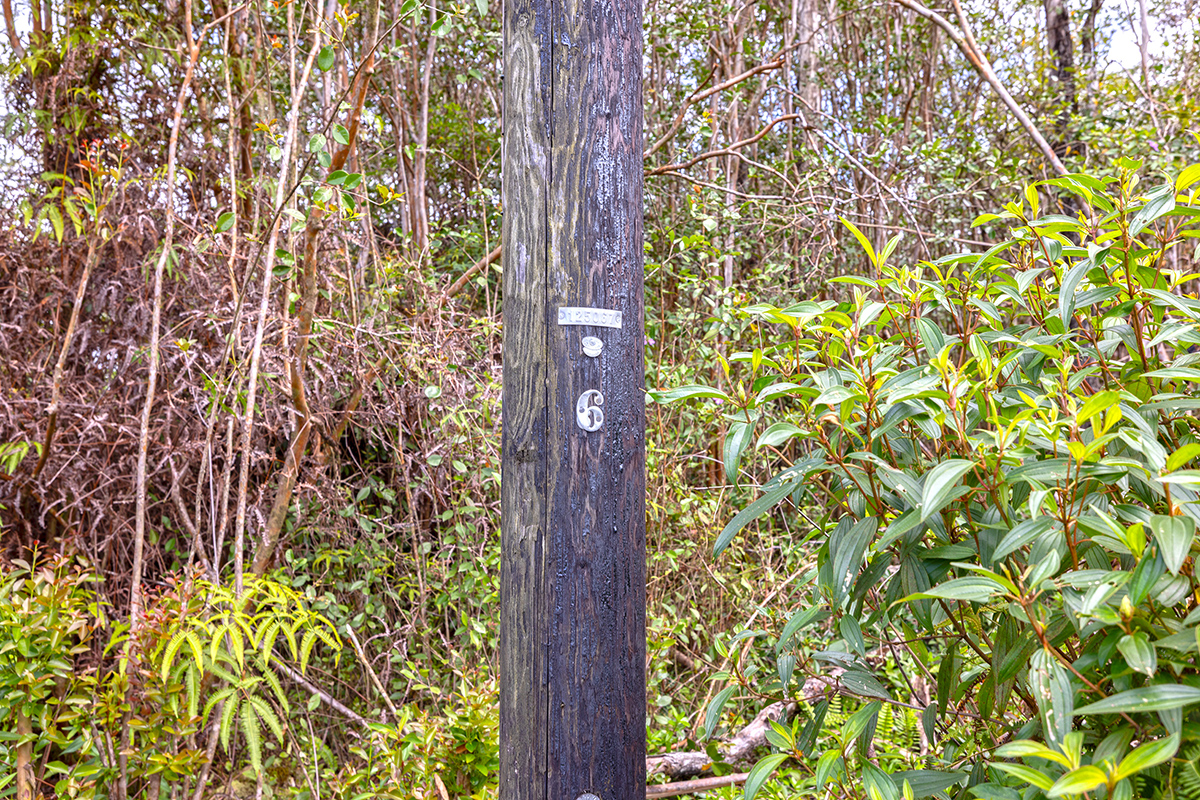 16-331 Kiele St Property Photo 15
