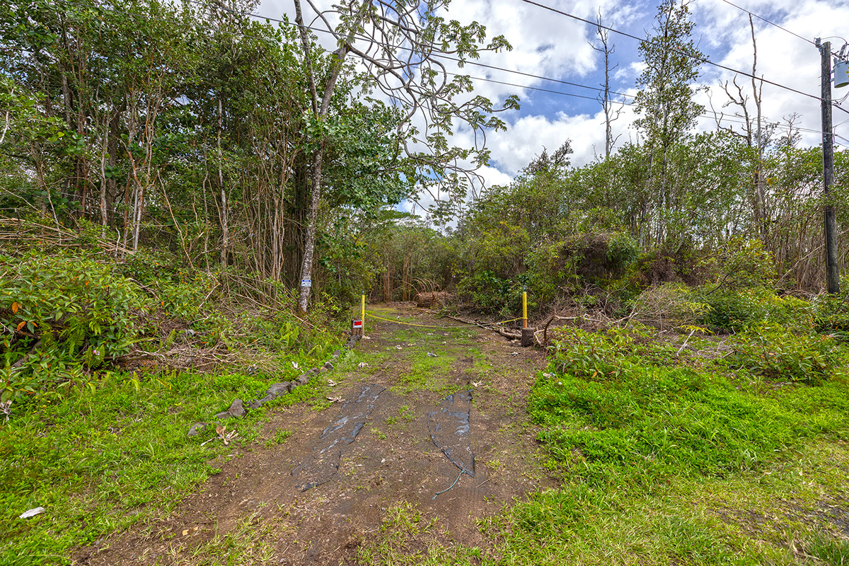 16-331 Kiele St Property Photo 16