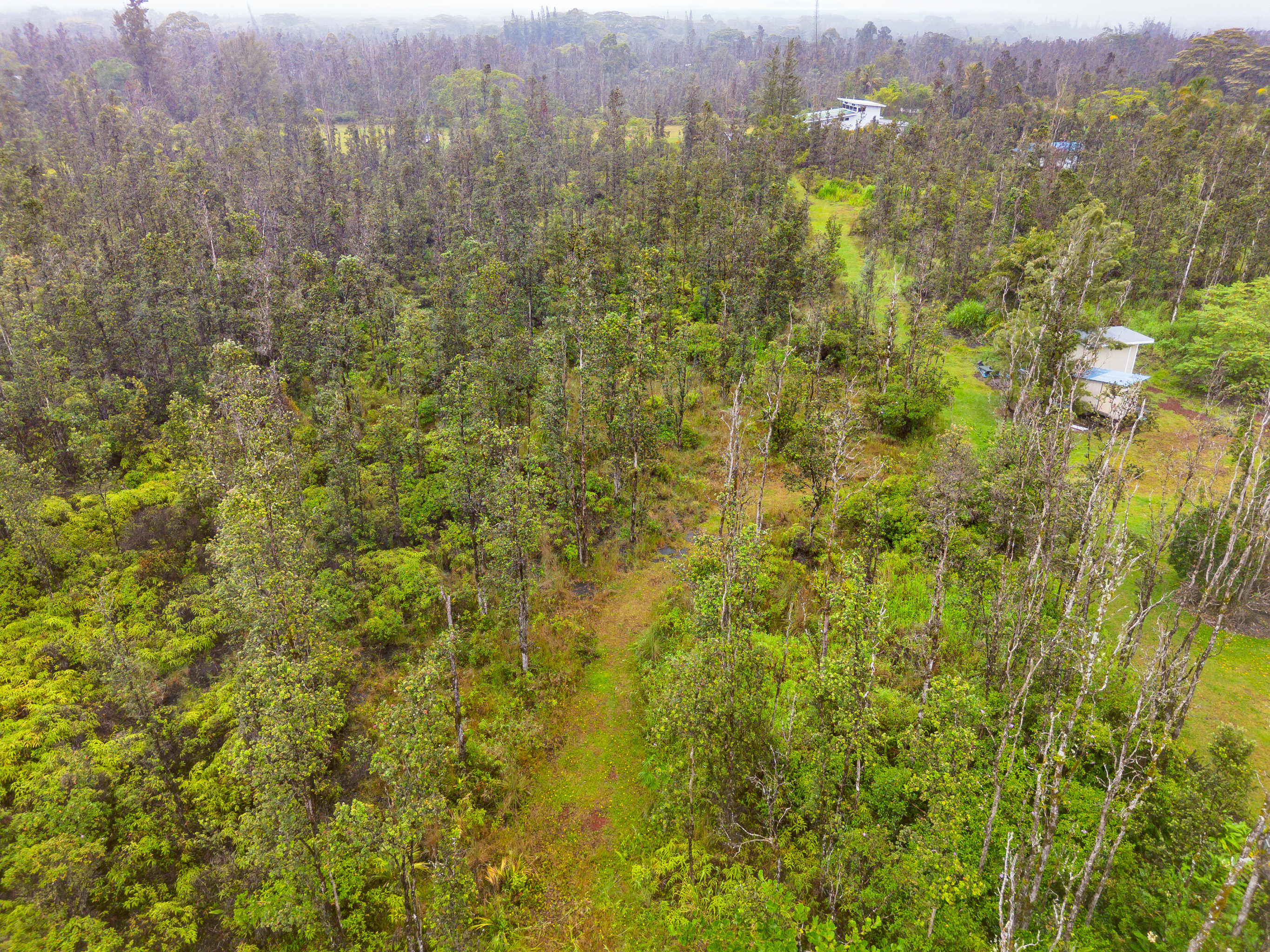 Keala St Property Photo 4