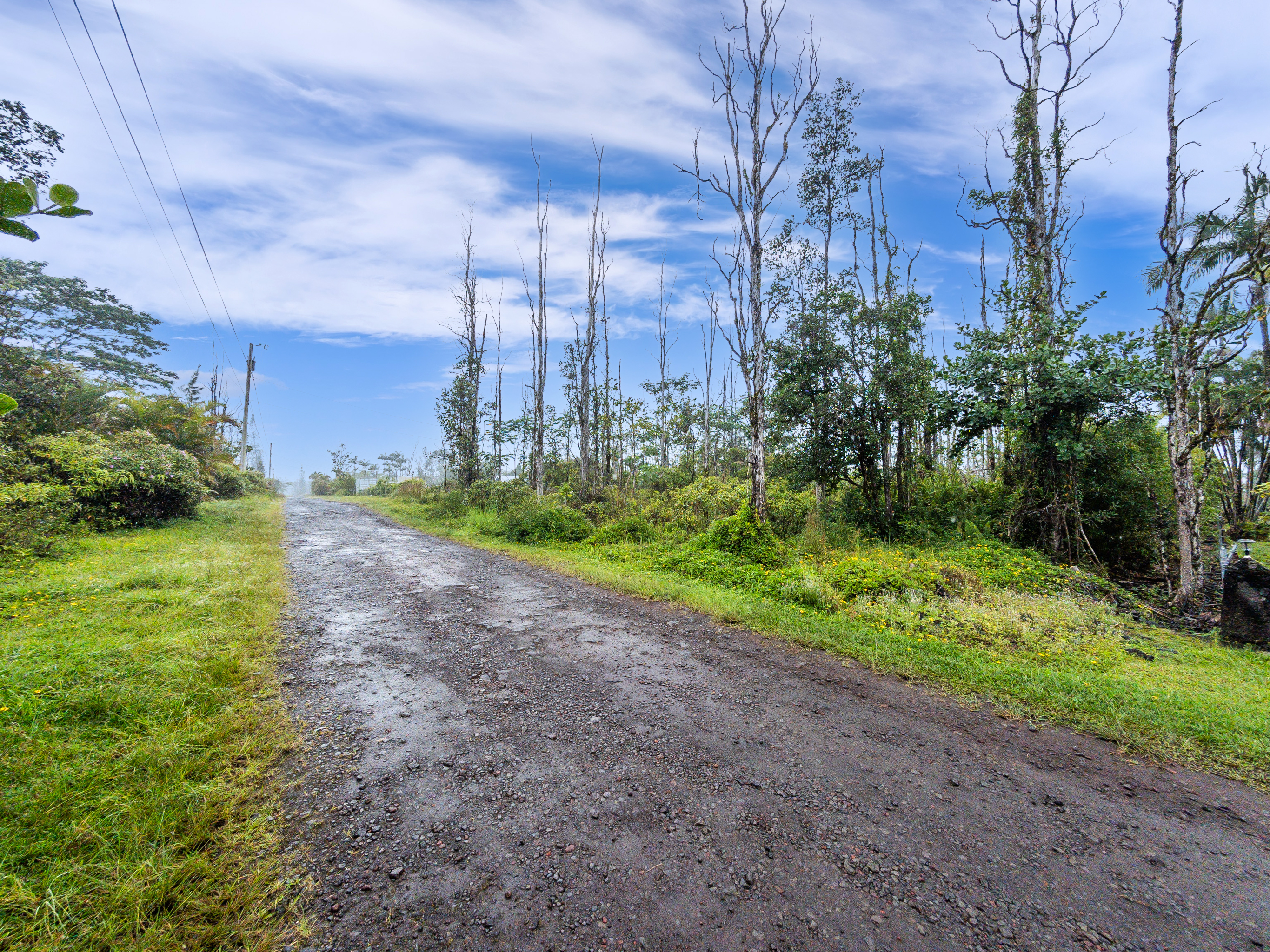 Keala St Property Photo 9