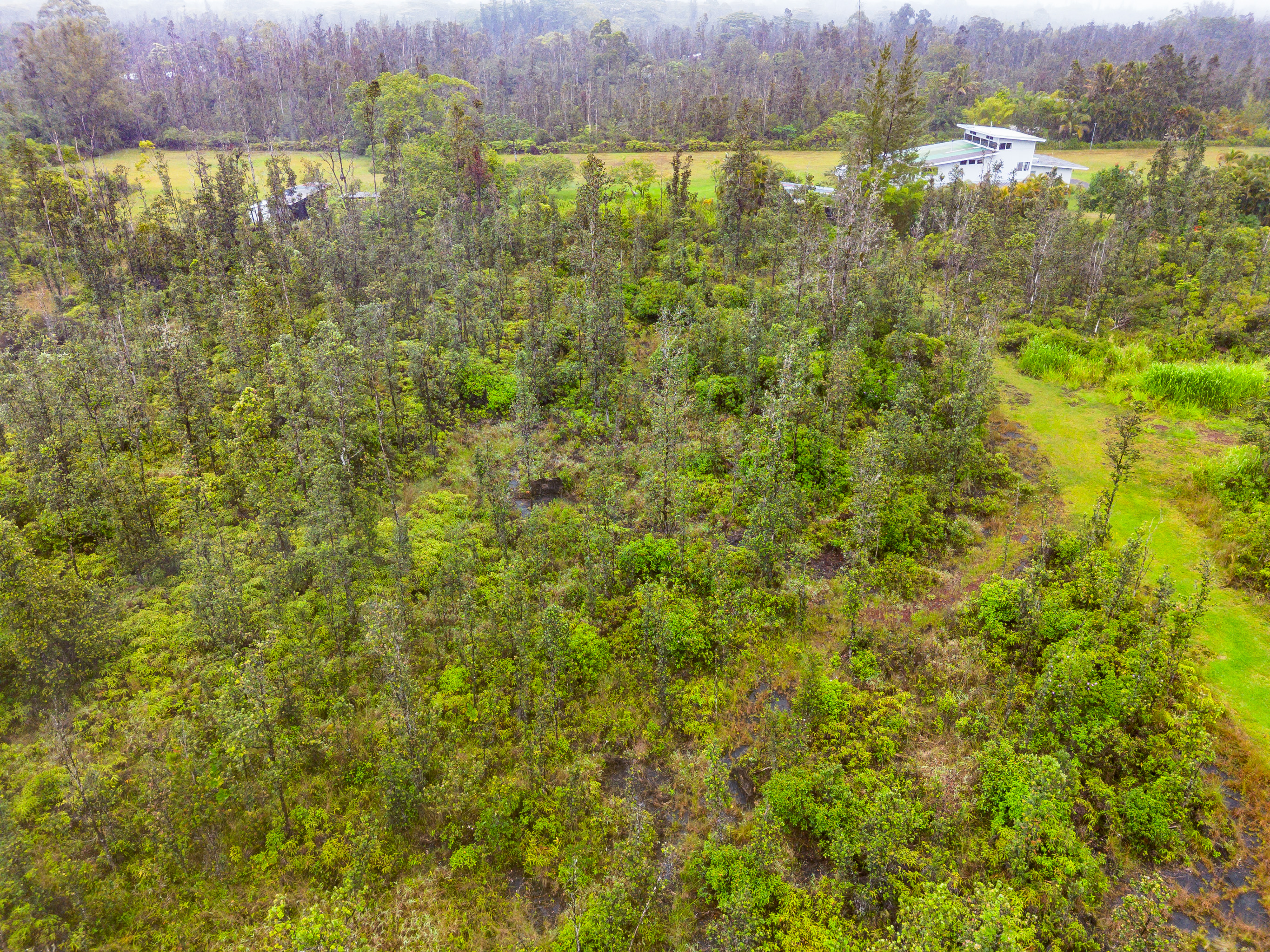Keala St Property Photo 18