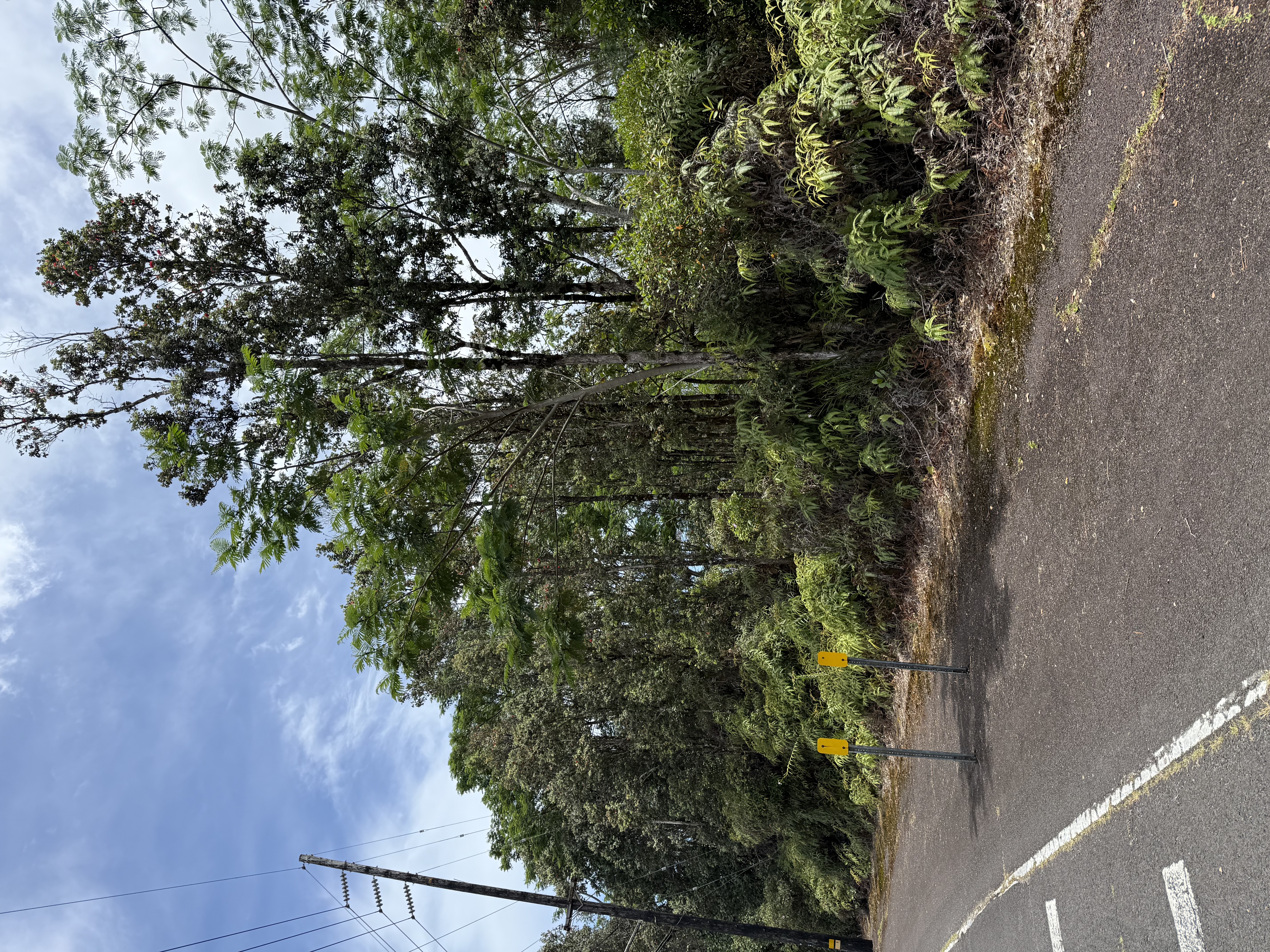 Puainako St. Extension Property Photo 1