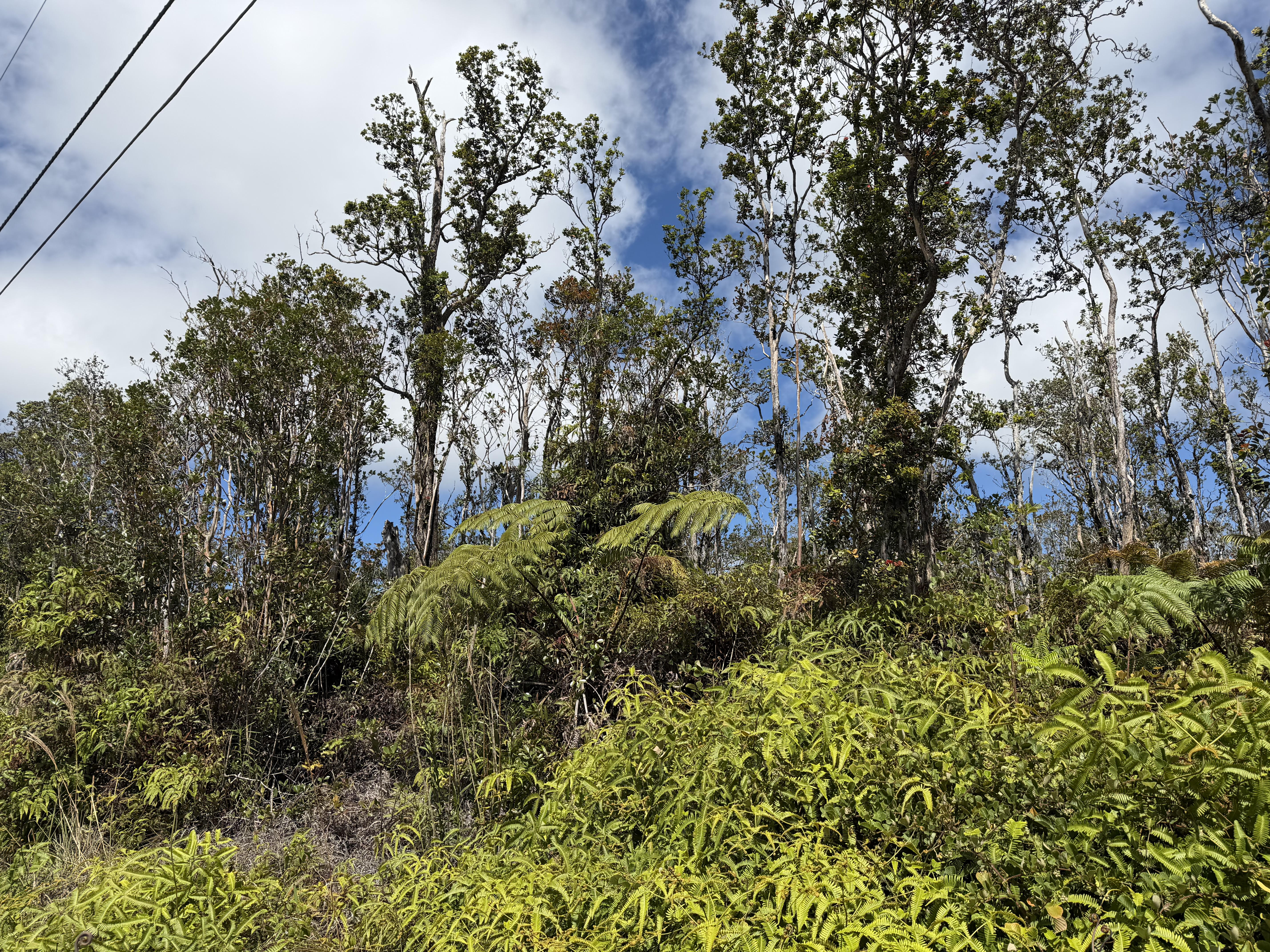Makoa Rd Property Photo 1