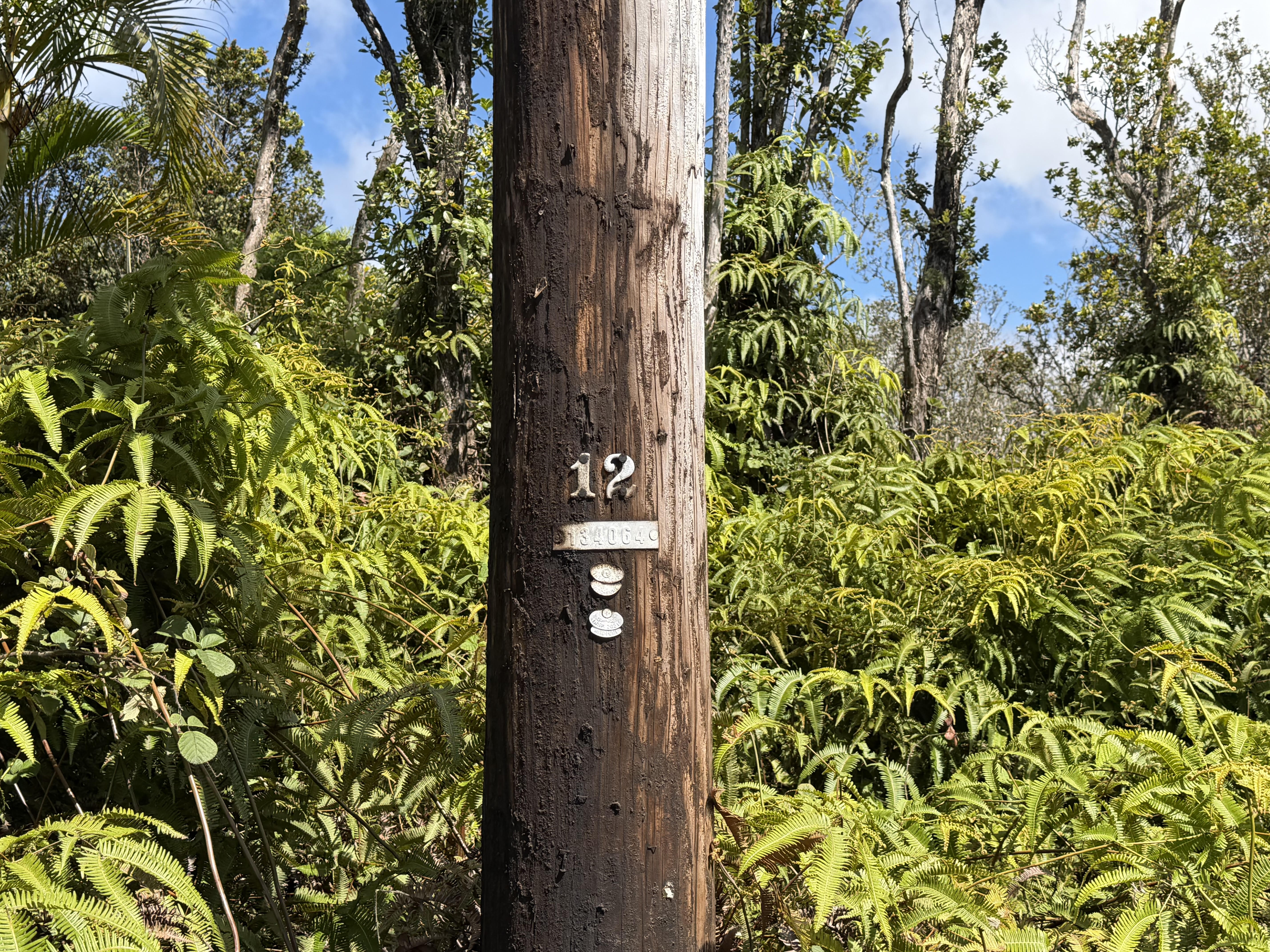 Makoa Rd Property Photo 3