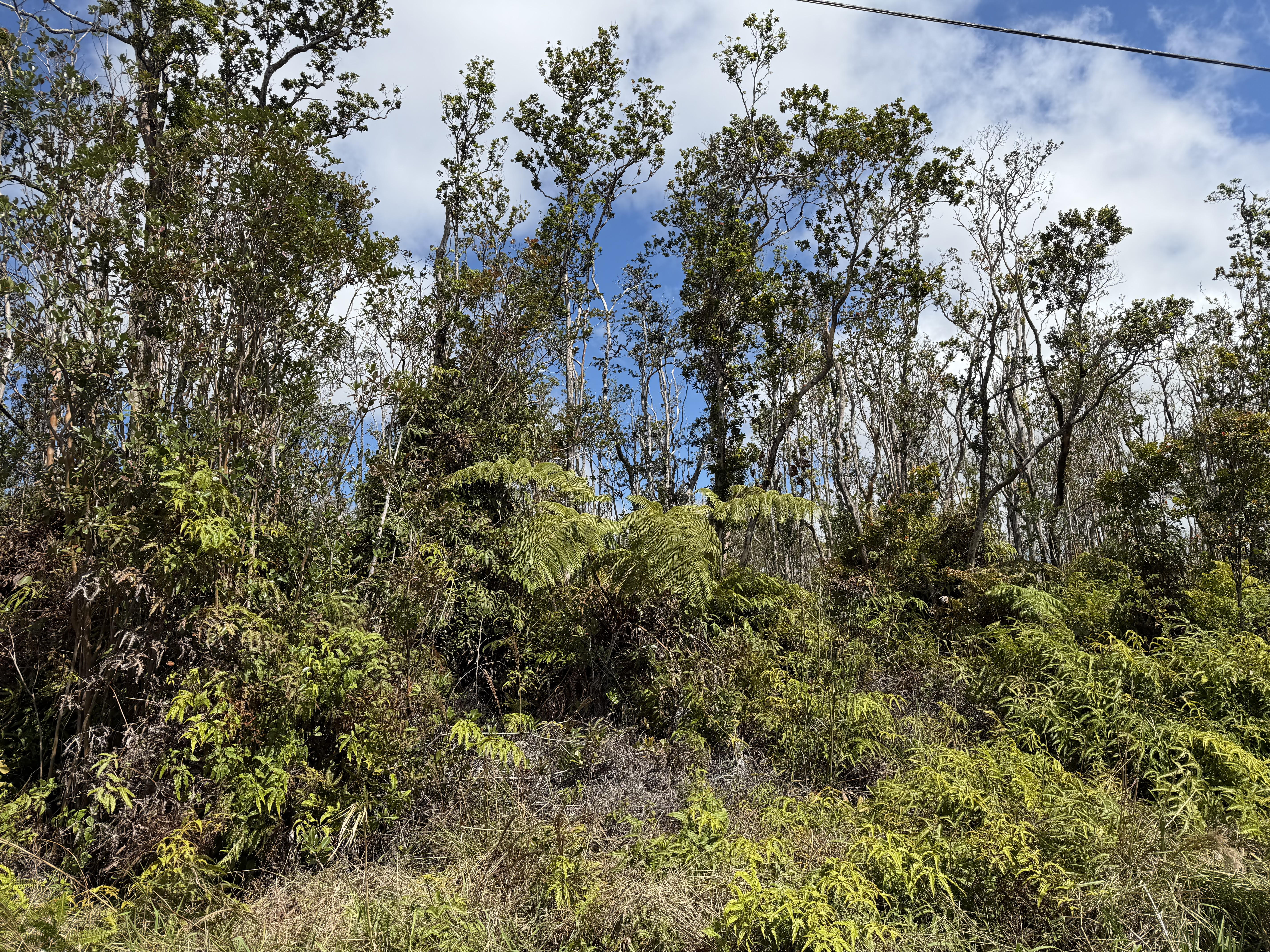 Makoa Rd Property Photo 9