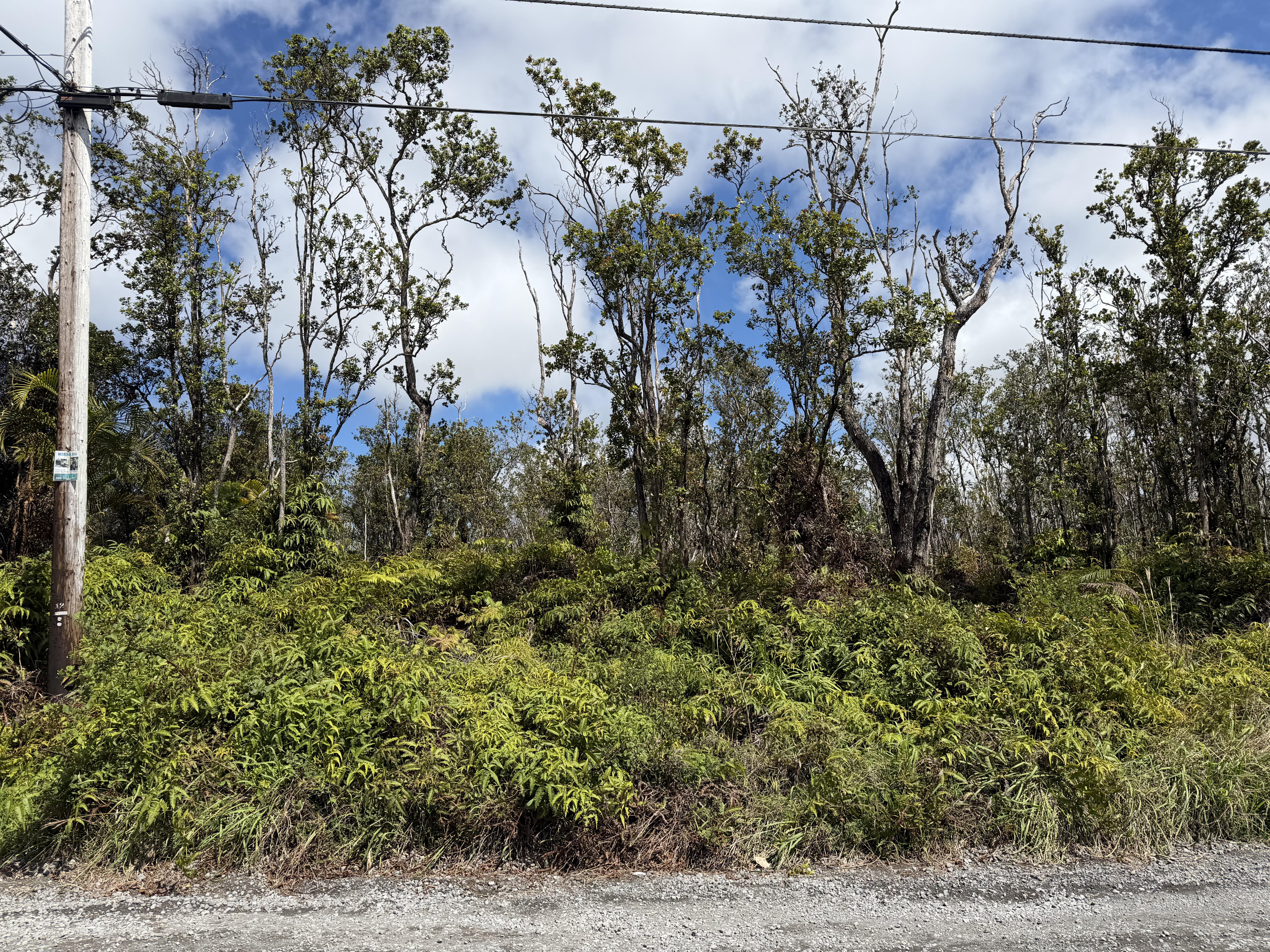 Makoa Rd Property Photo 11
