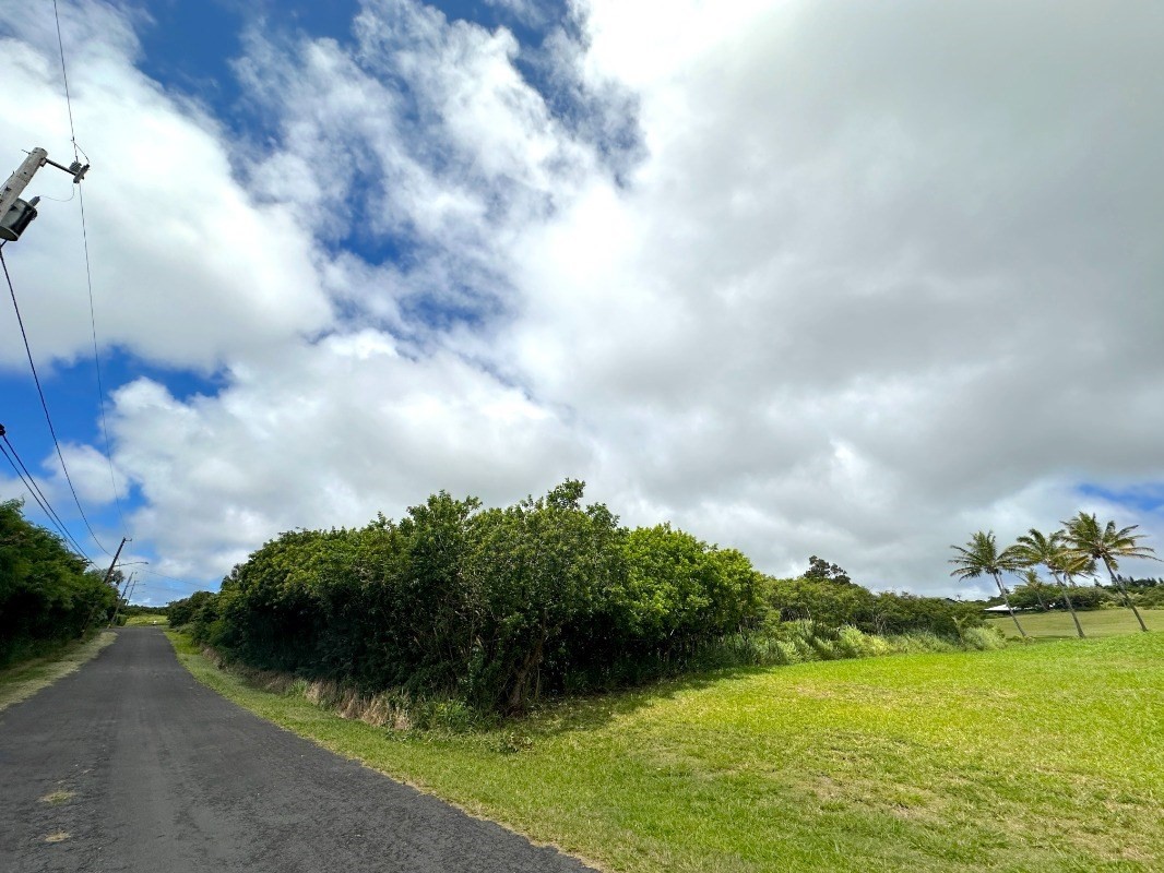 Kia Kahi St Property Photo 1