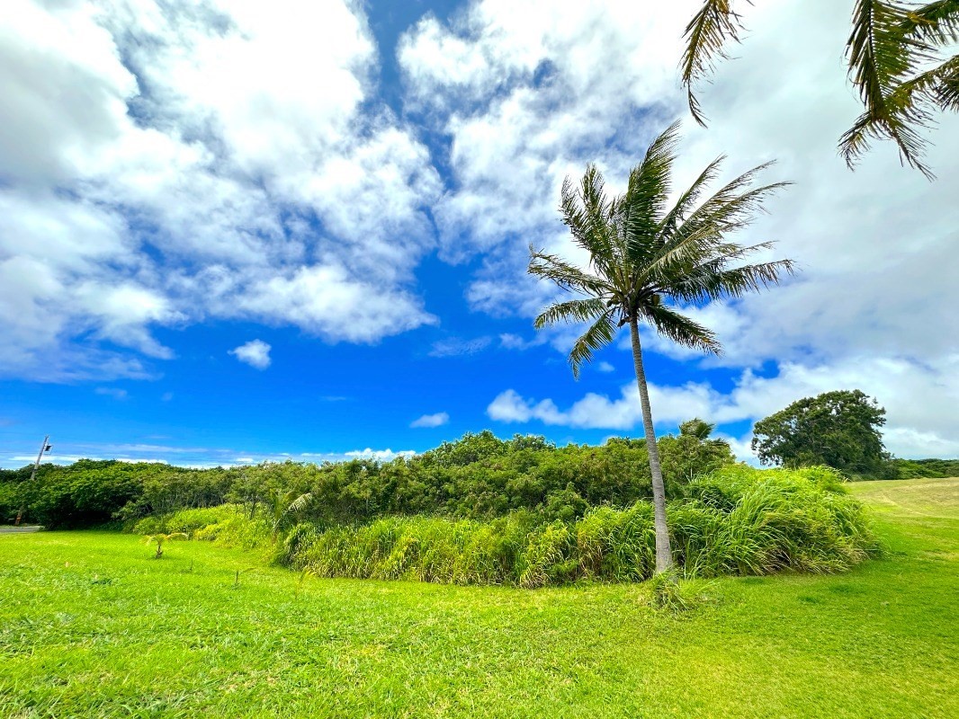 Kia Kahi St Property Photo 5