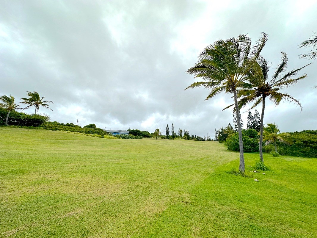 Kia Kahi St Property Photo 7