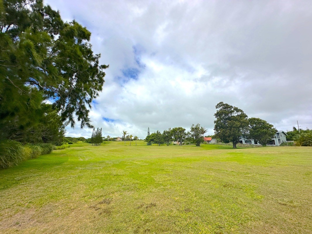 Kia Kahi St Property Photo 8