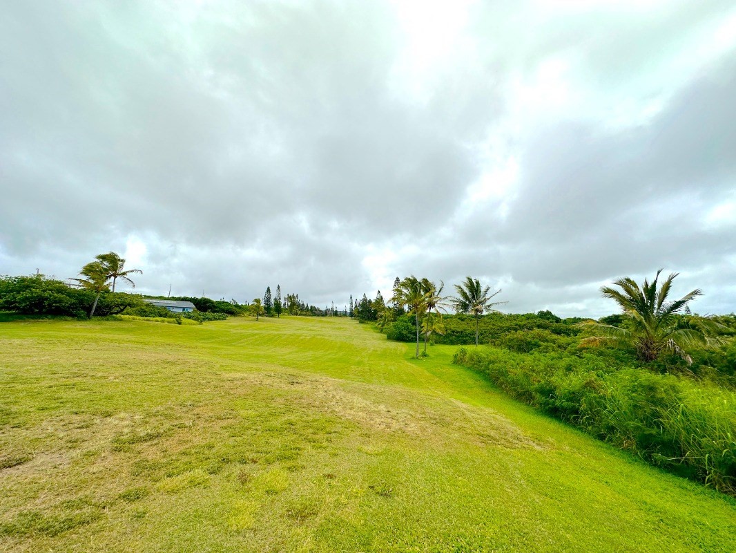 Kia Kahi St Property Photo 9
