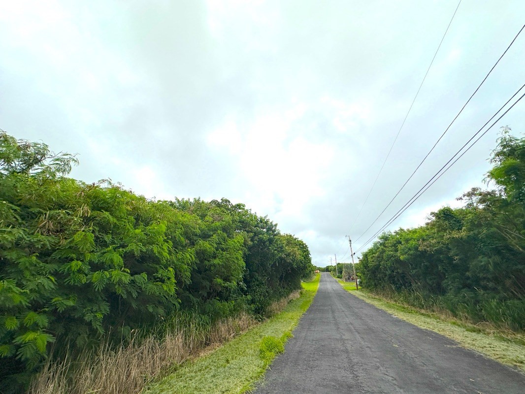 Kia Kahi St Property Photo 10