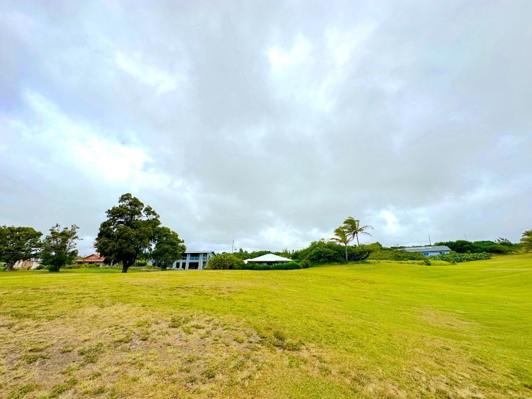 Kia Kahi St Property Photo 11