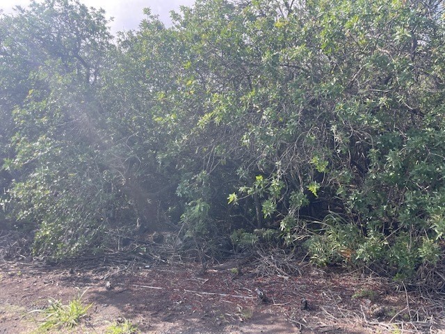 Holowai St Property Photo 2