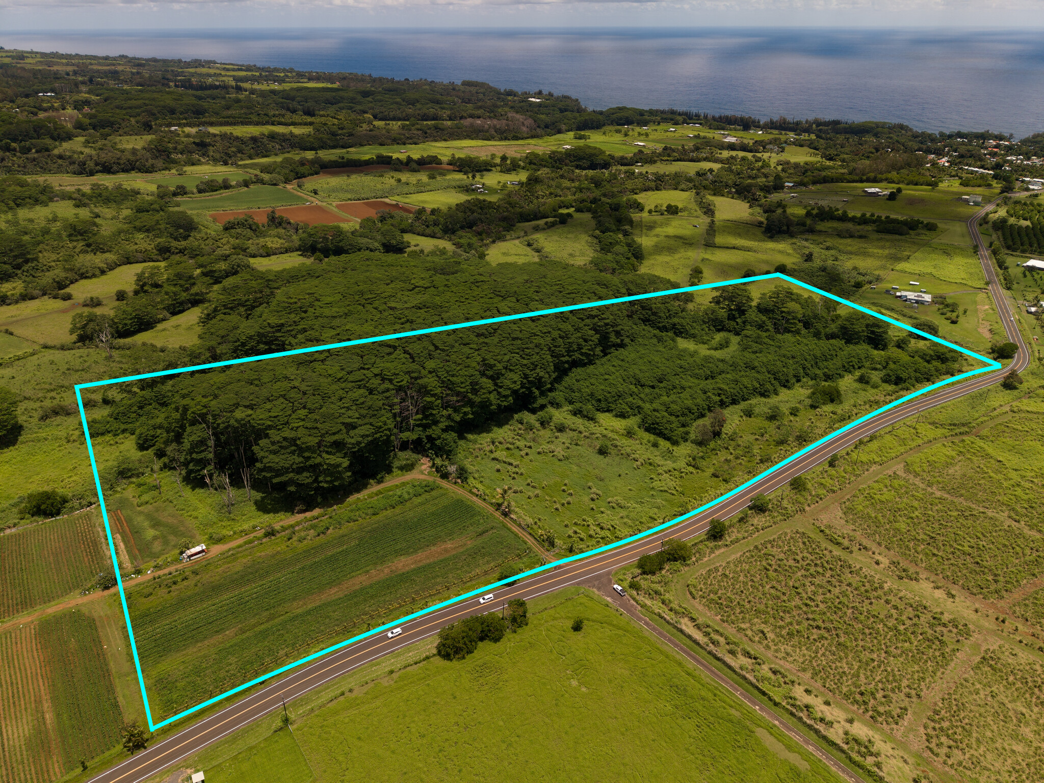 Akaka Falls Road Property Photo 1
