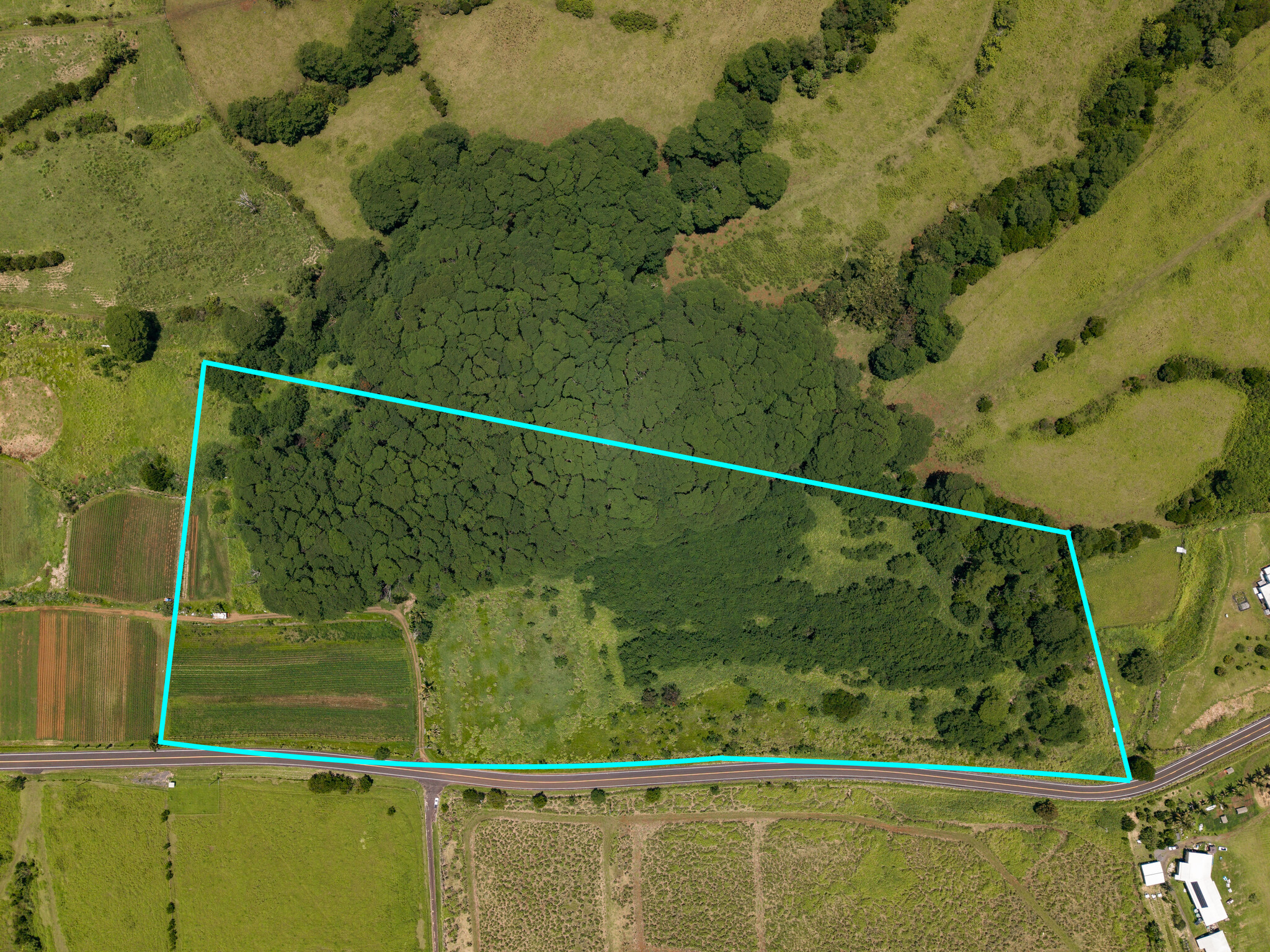 Akaka Falls Road Property Photo 2