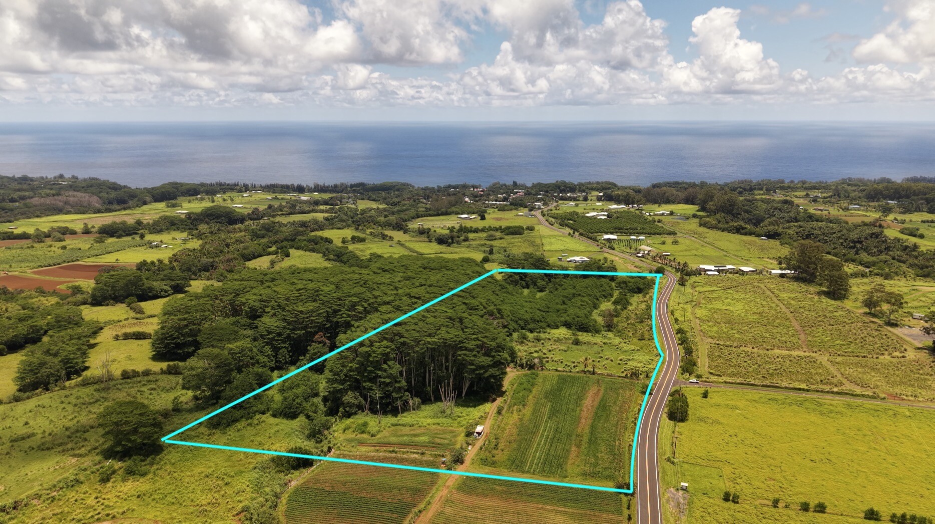 Akaka Falls Road Property Photo 3