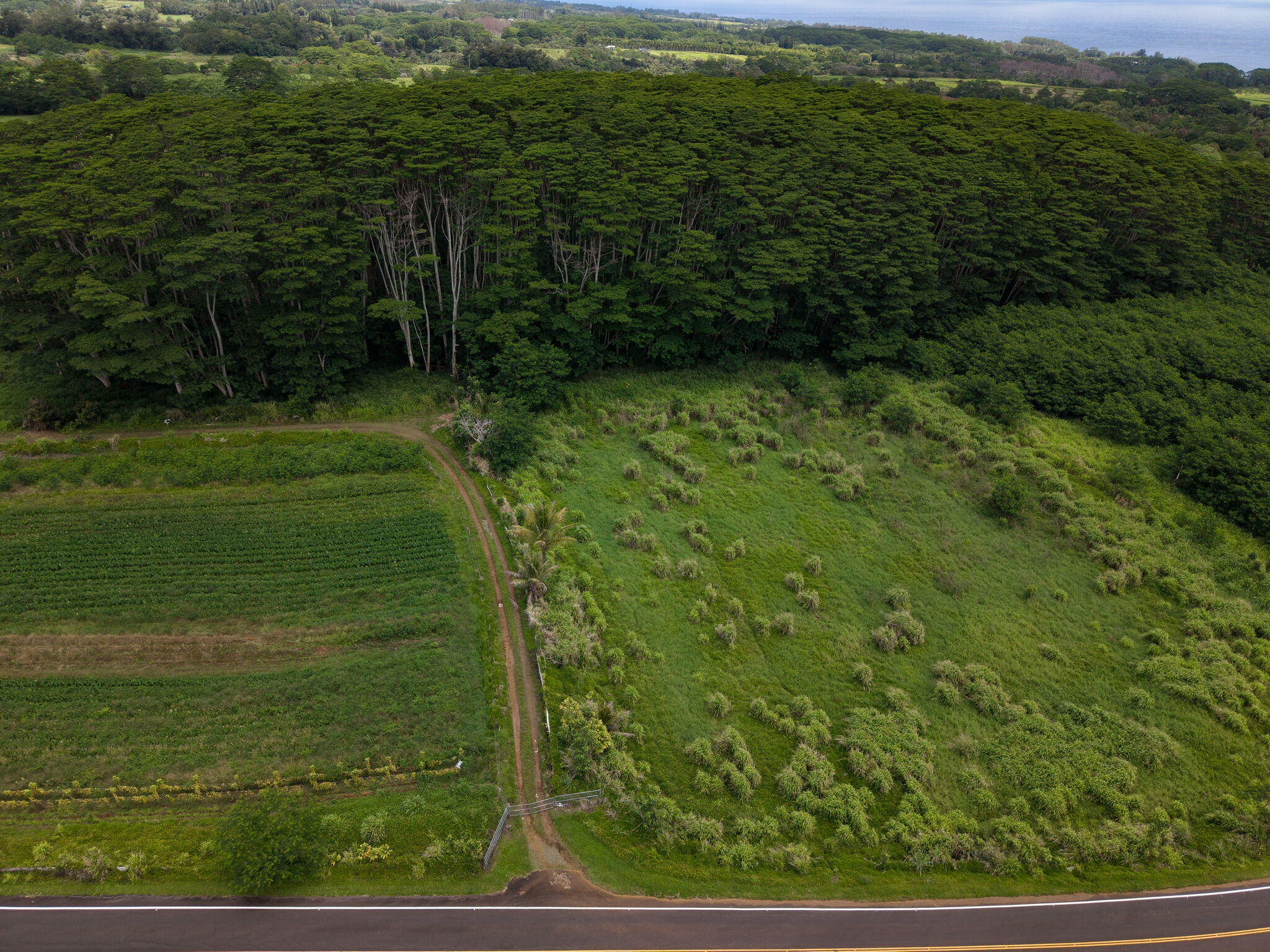 Akaka Falls Road Property Photo 4