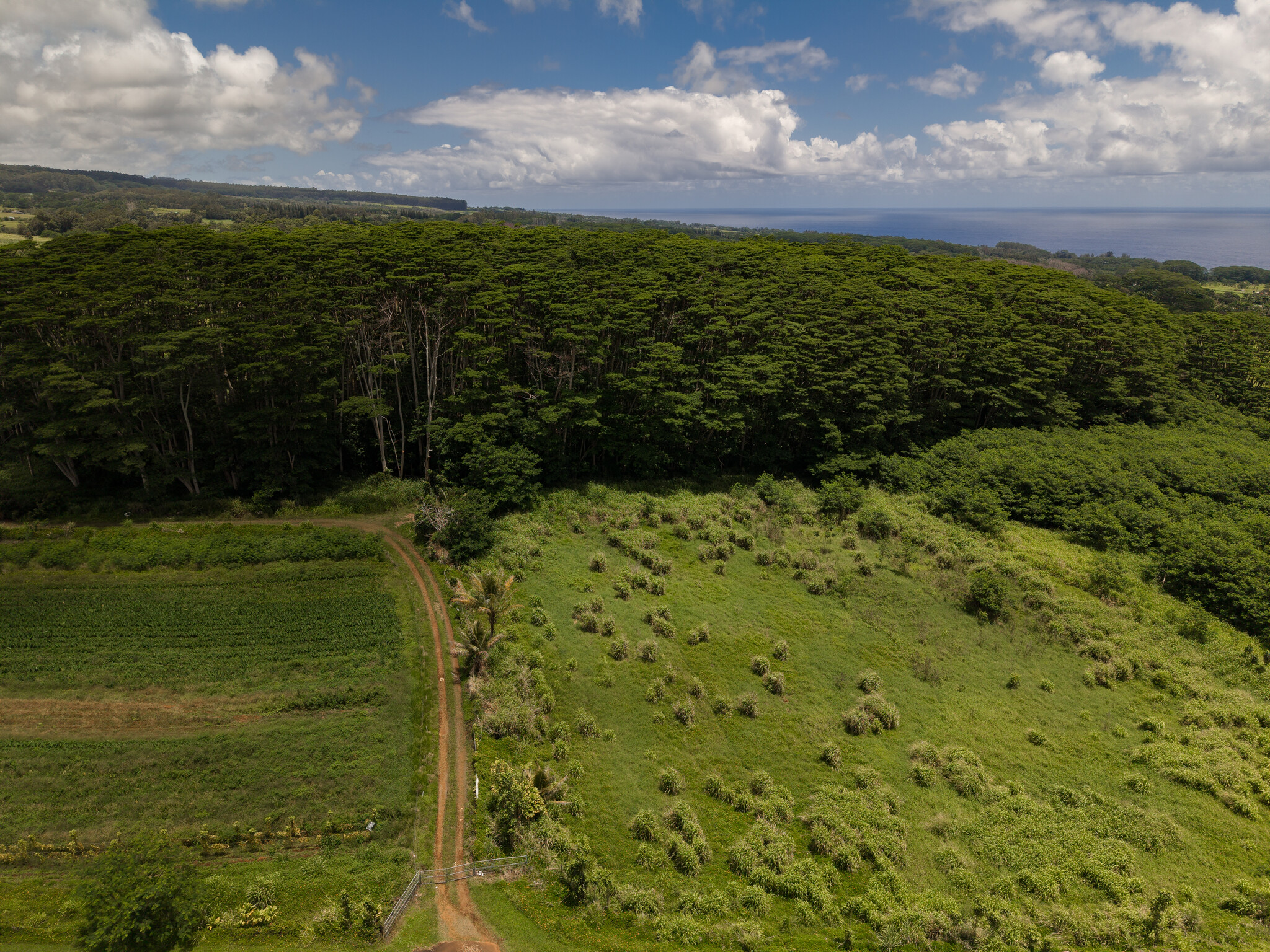 Akaka Falls Road Property Photo 6