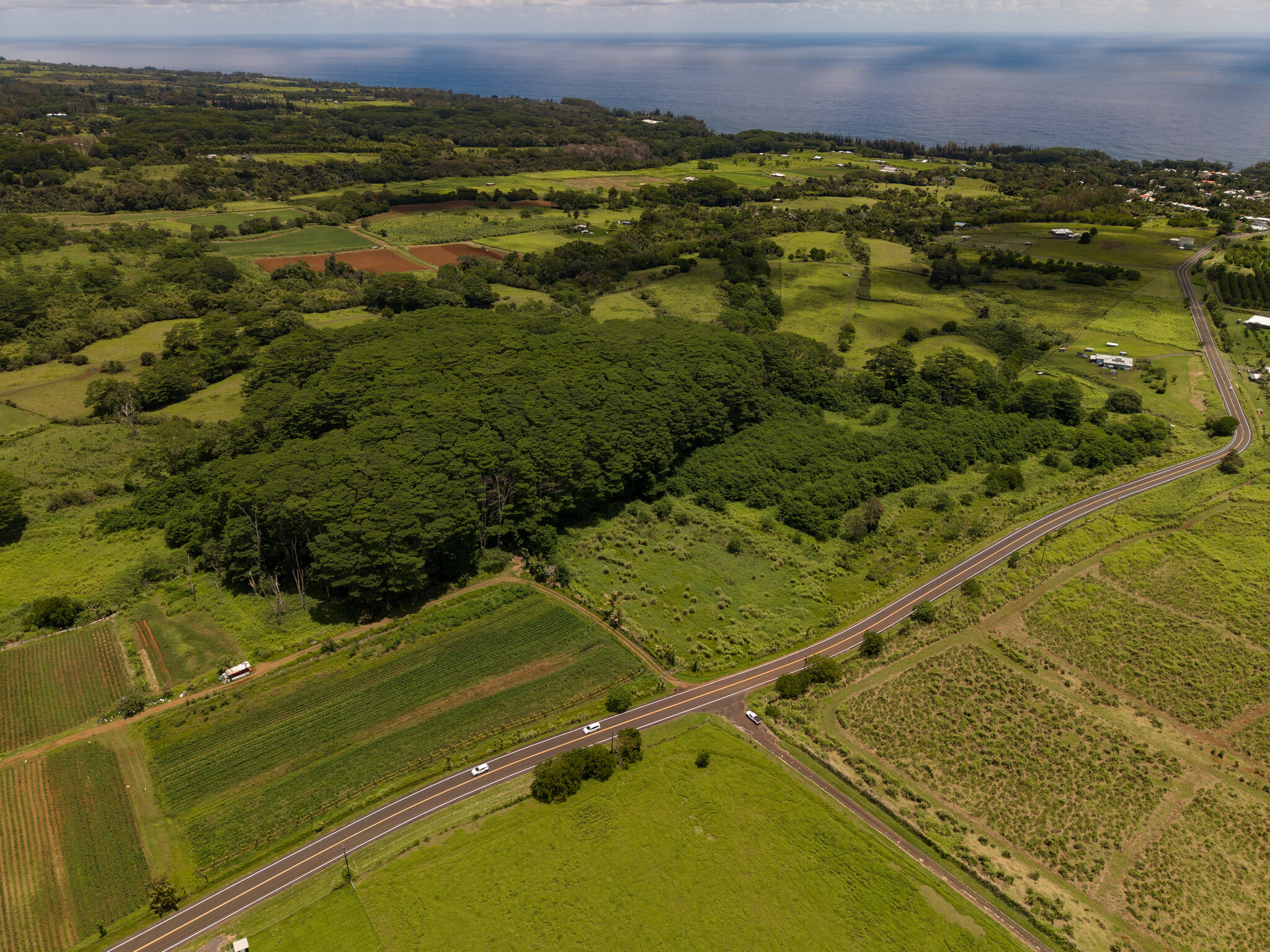 Akaka Falls Road Property Photo 7