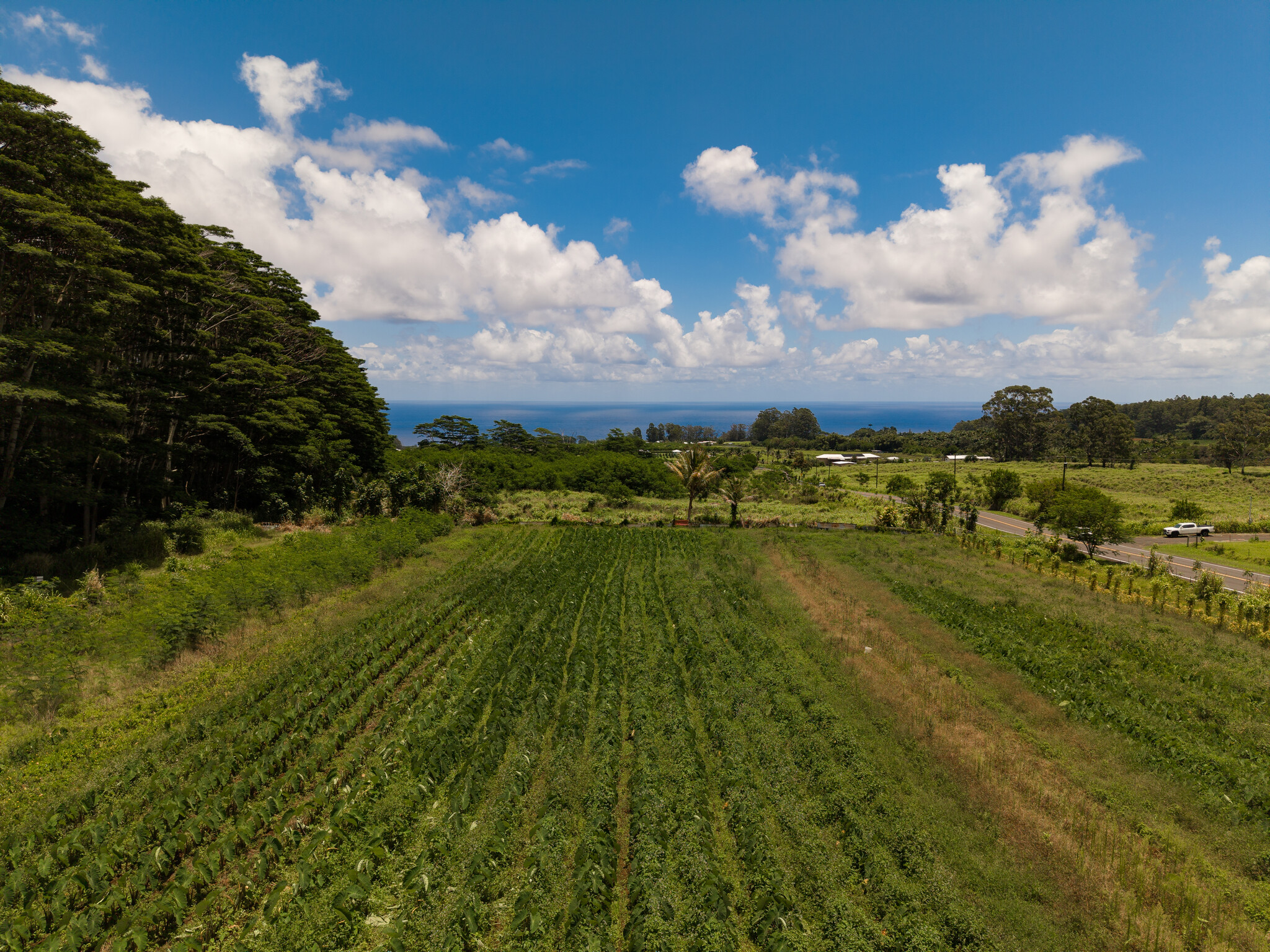 Akaka Falls Road Property Photo 8