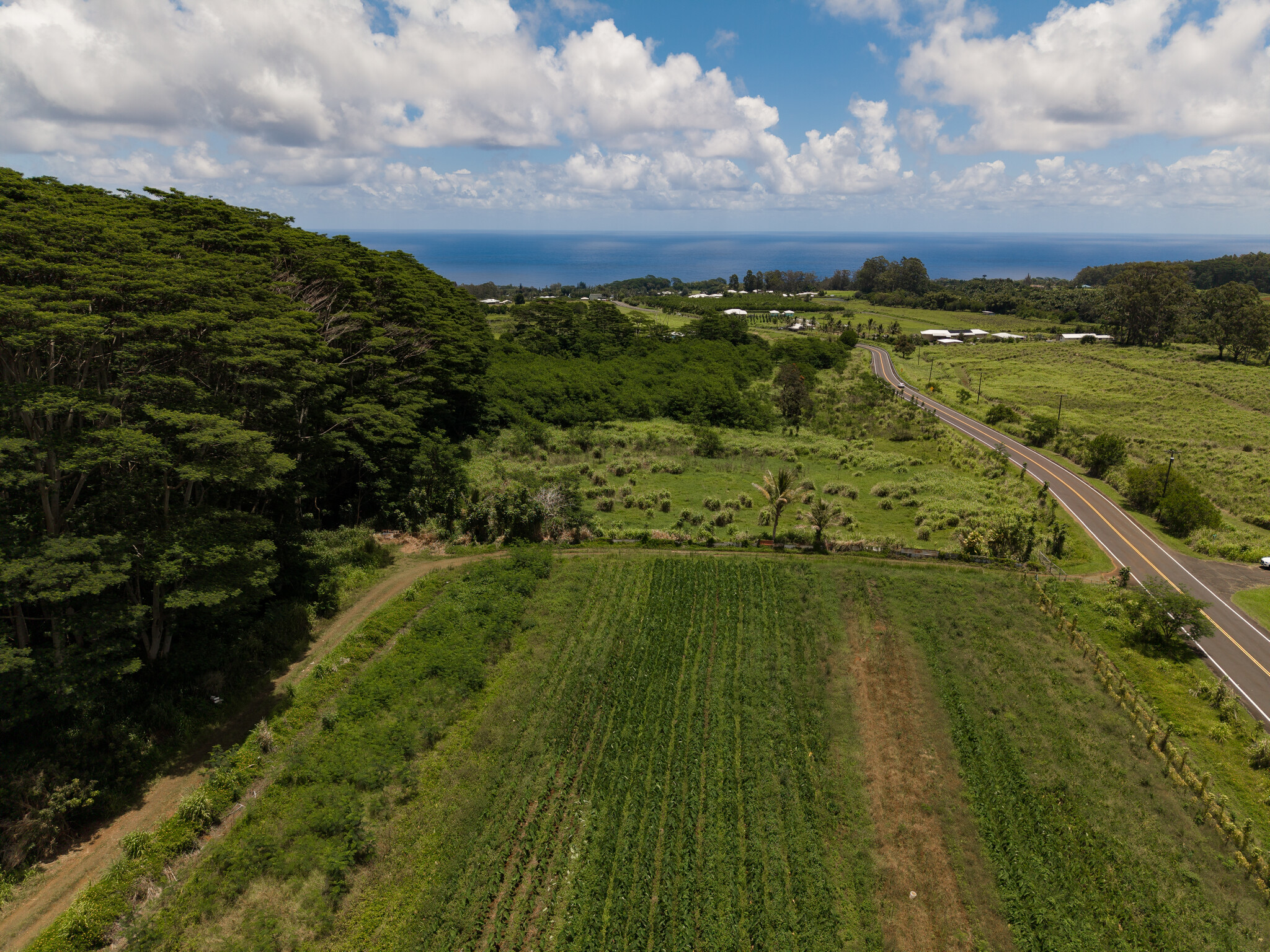 Akaka Falls Road Property Photo 9