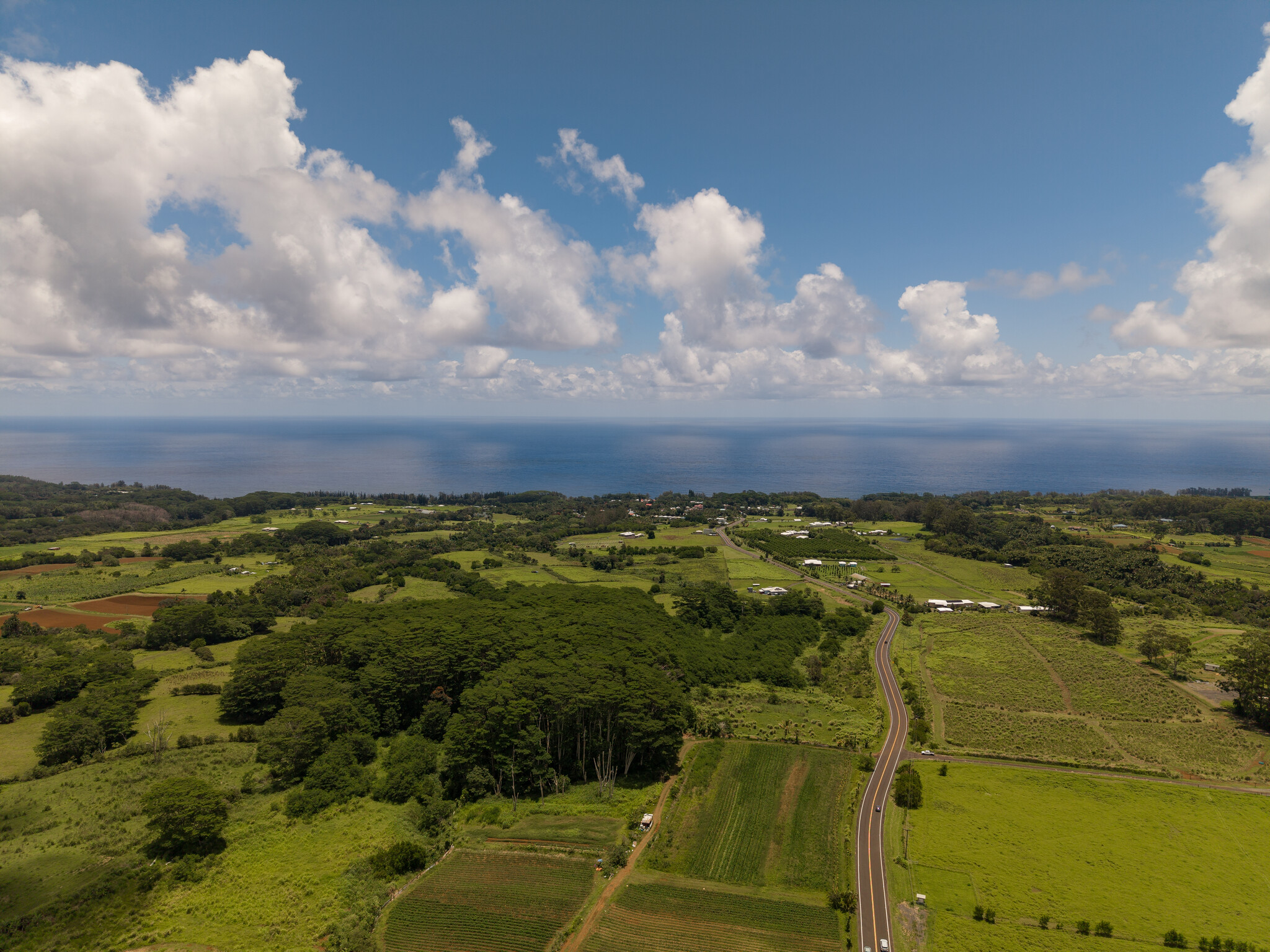 Akaka Falls Road Property Photo 11