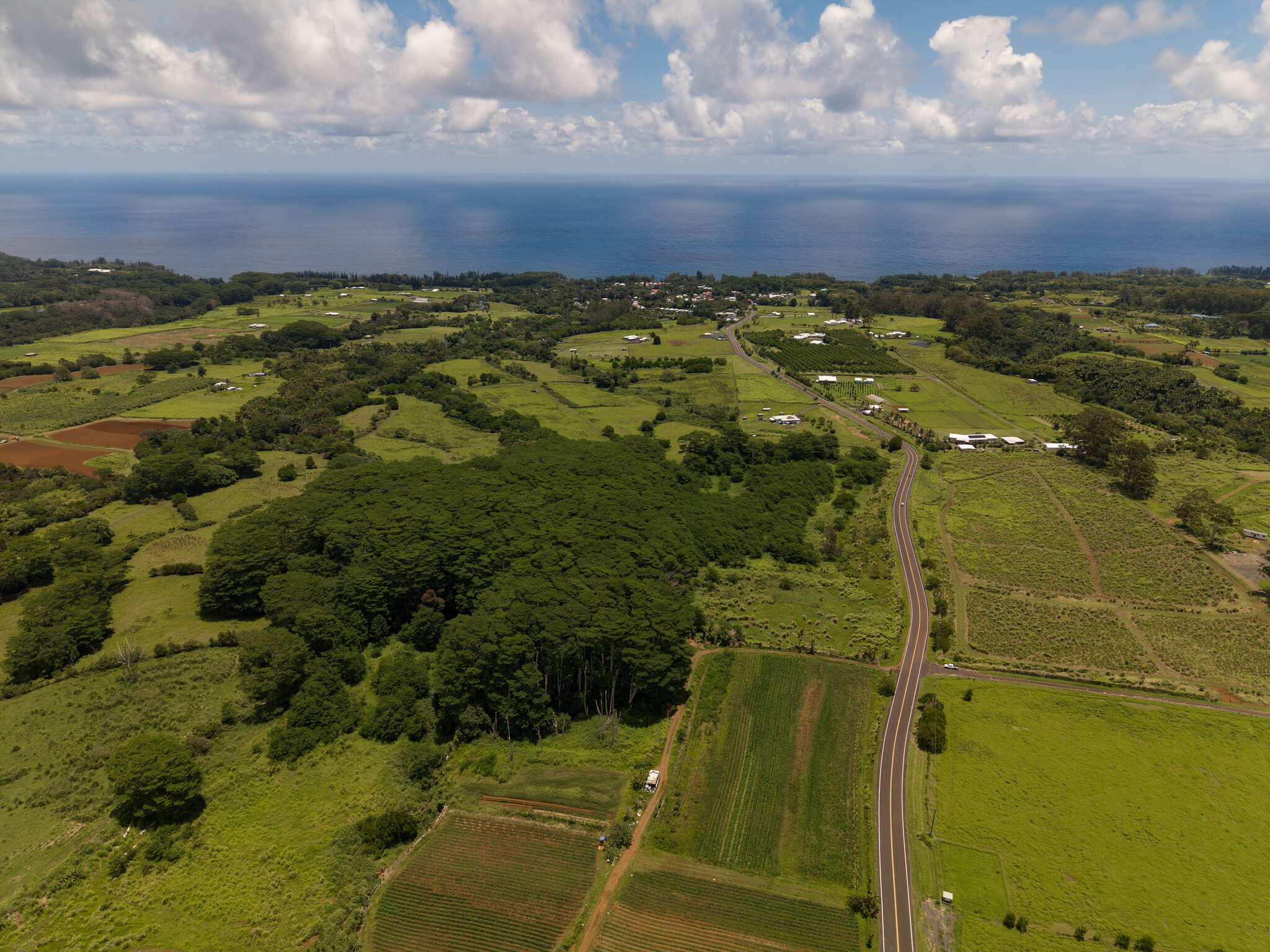 Akaka Falls Road Property Photo 12