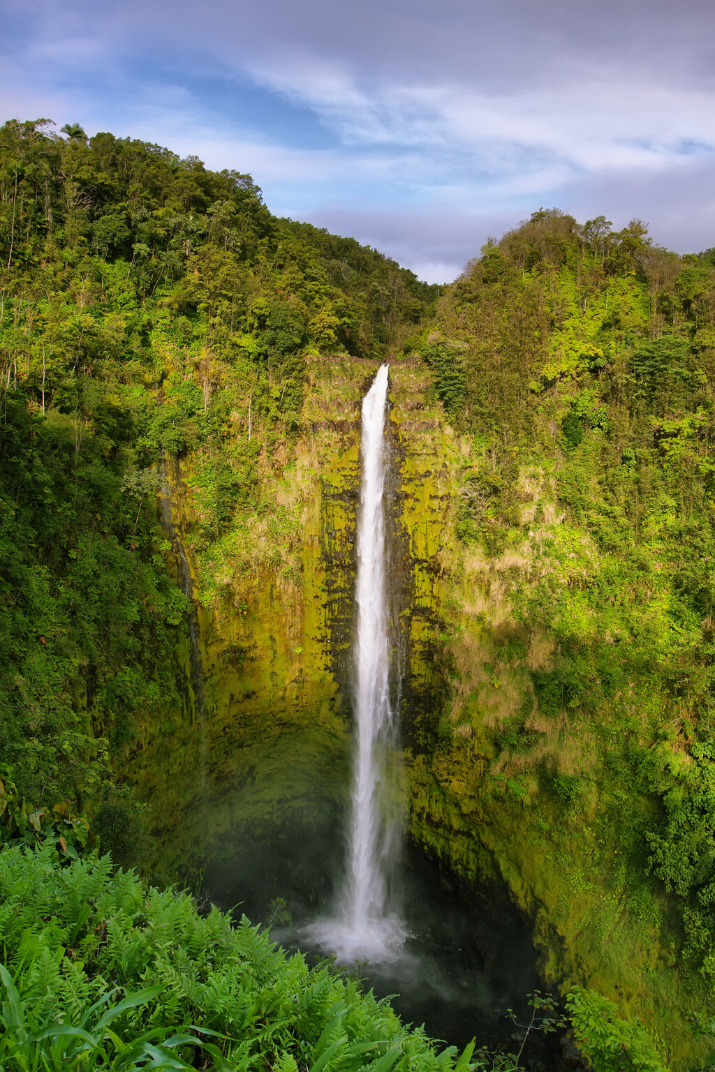 Akaka Falls Road Property Photo 17