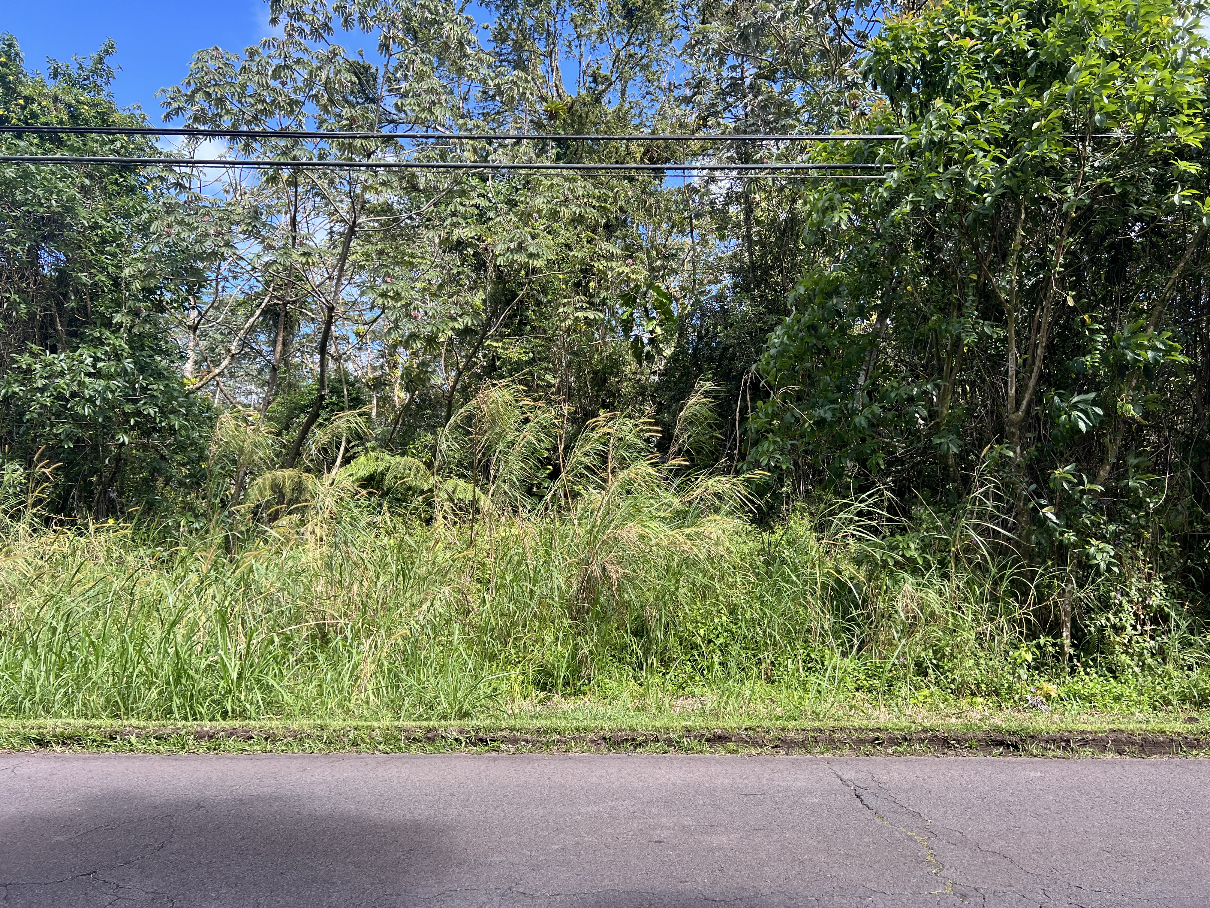 Kehau Rd Property Photo 2