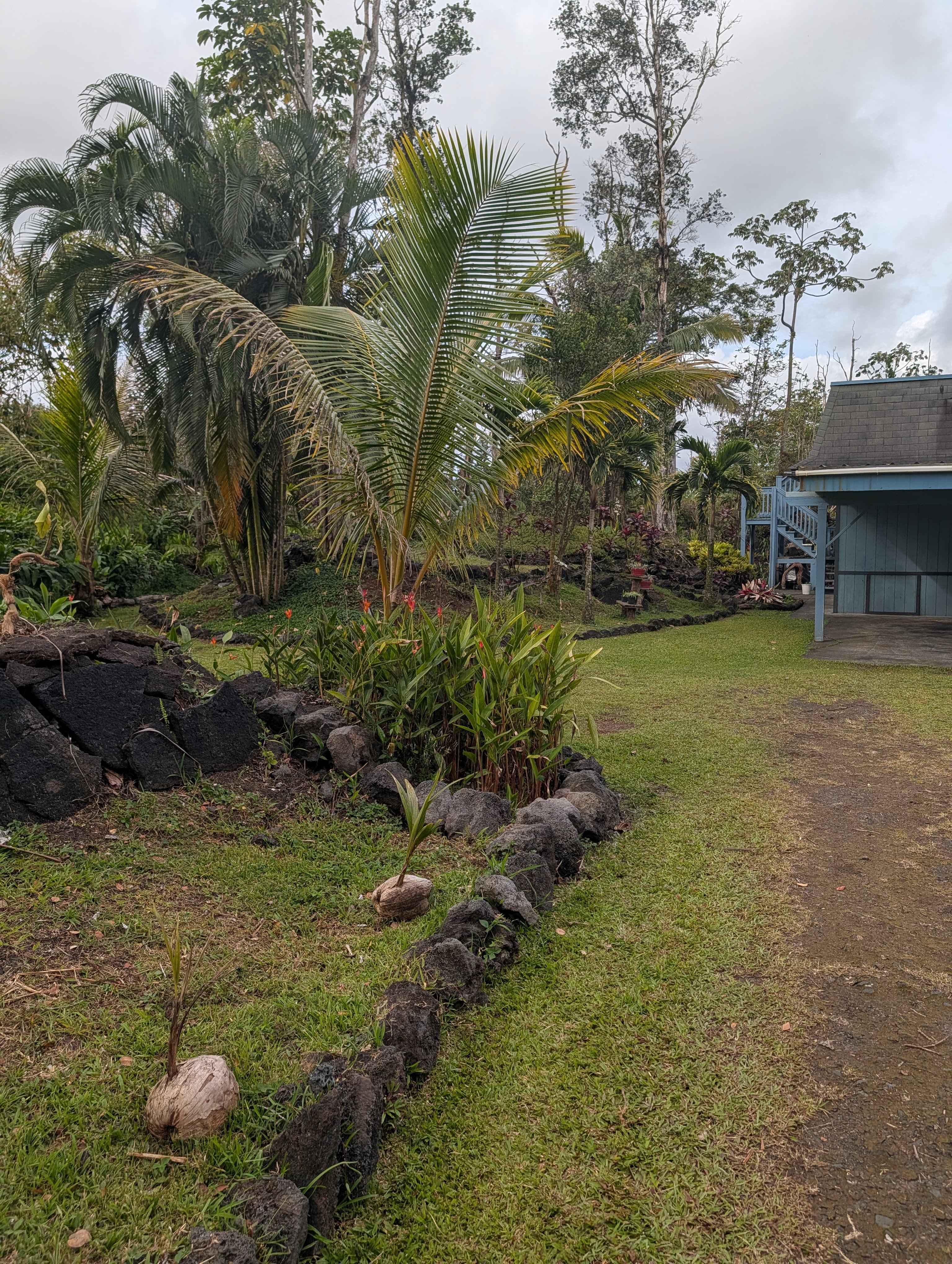 13-1128 Malama St Property Photo 25
