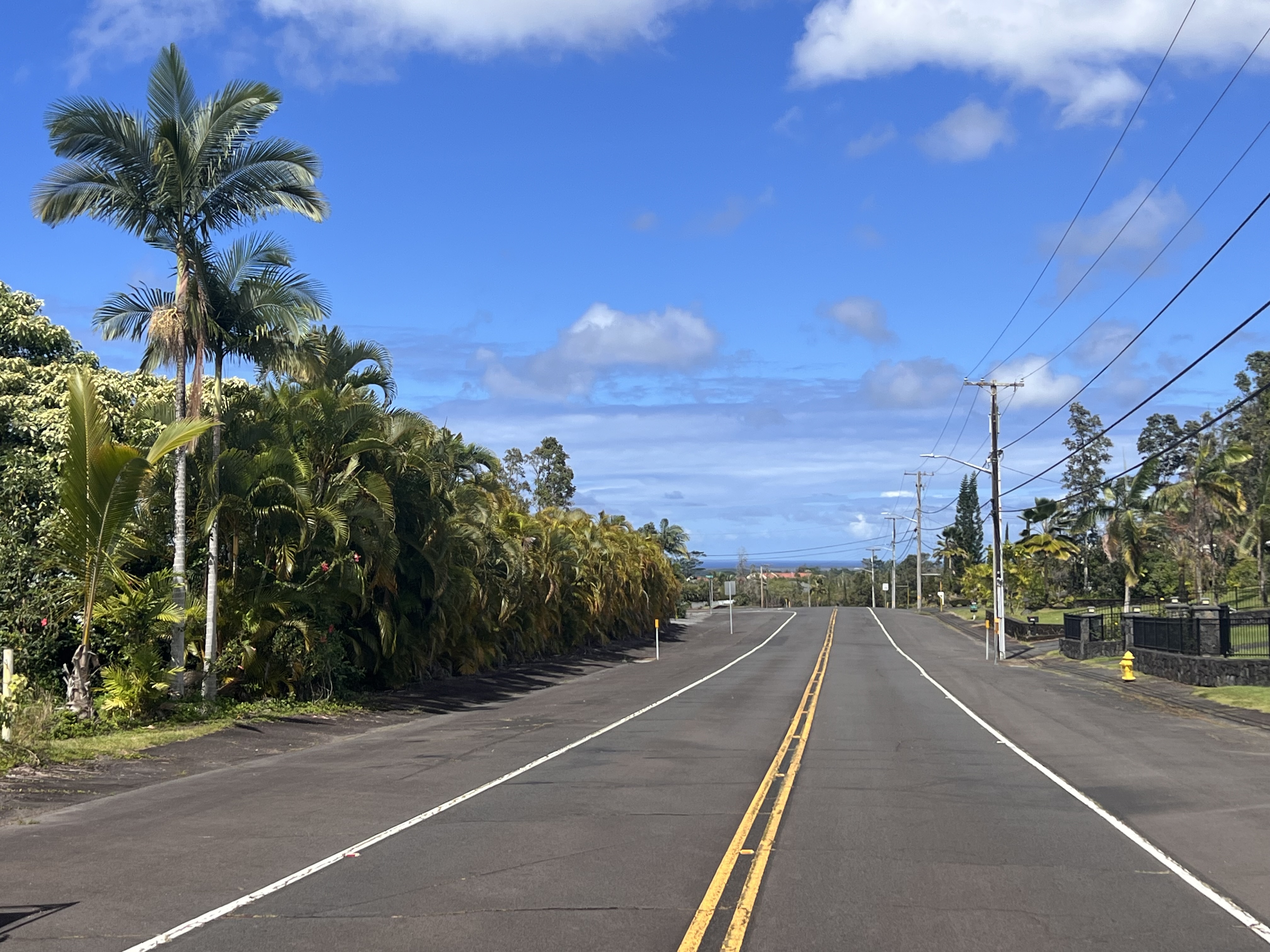 Kukuau St Property Photo 2