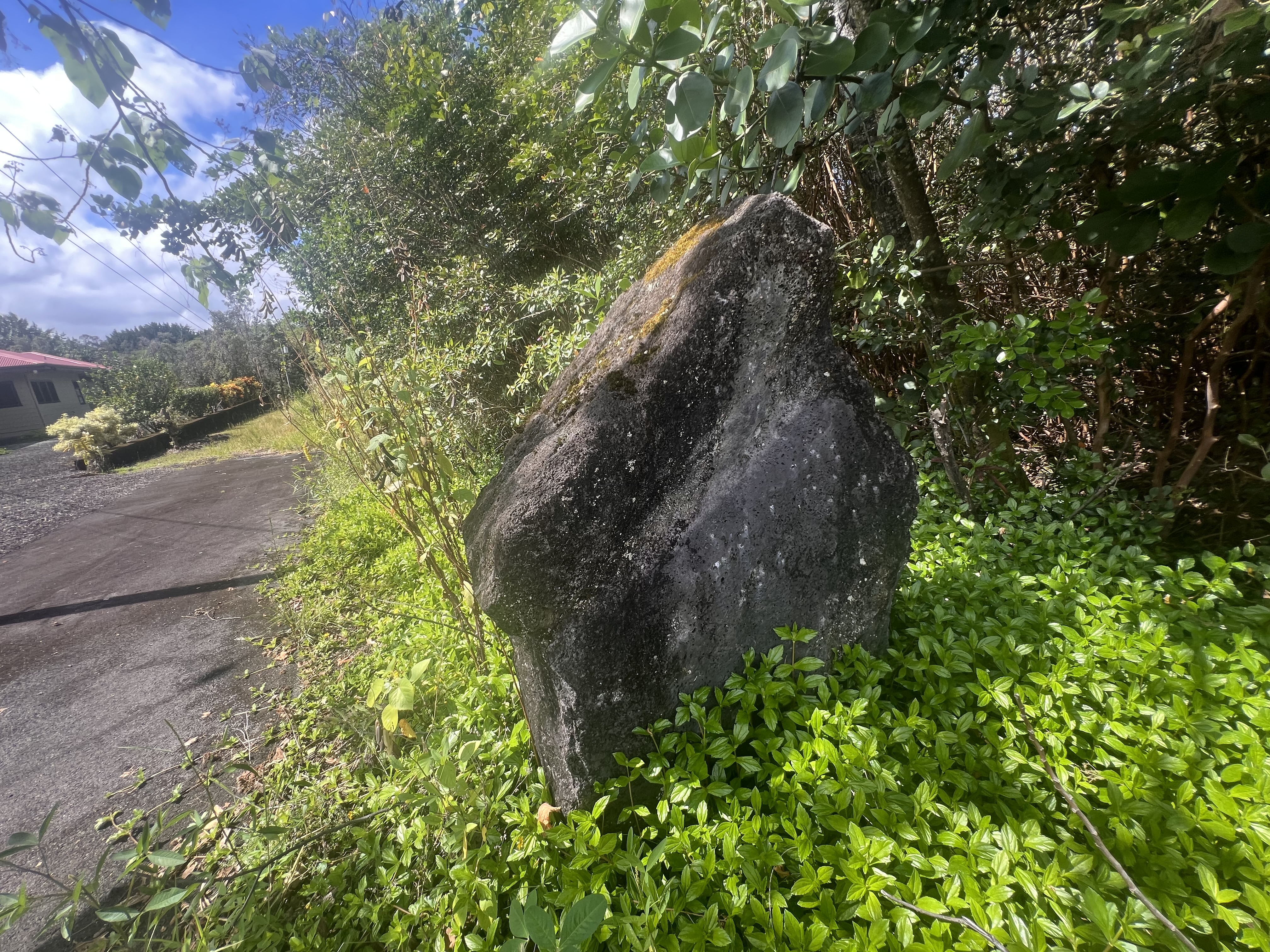 Kukuau St Property Photo 6