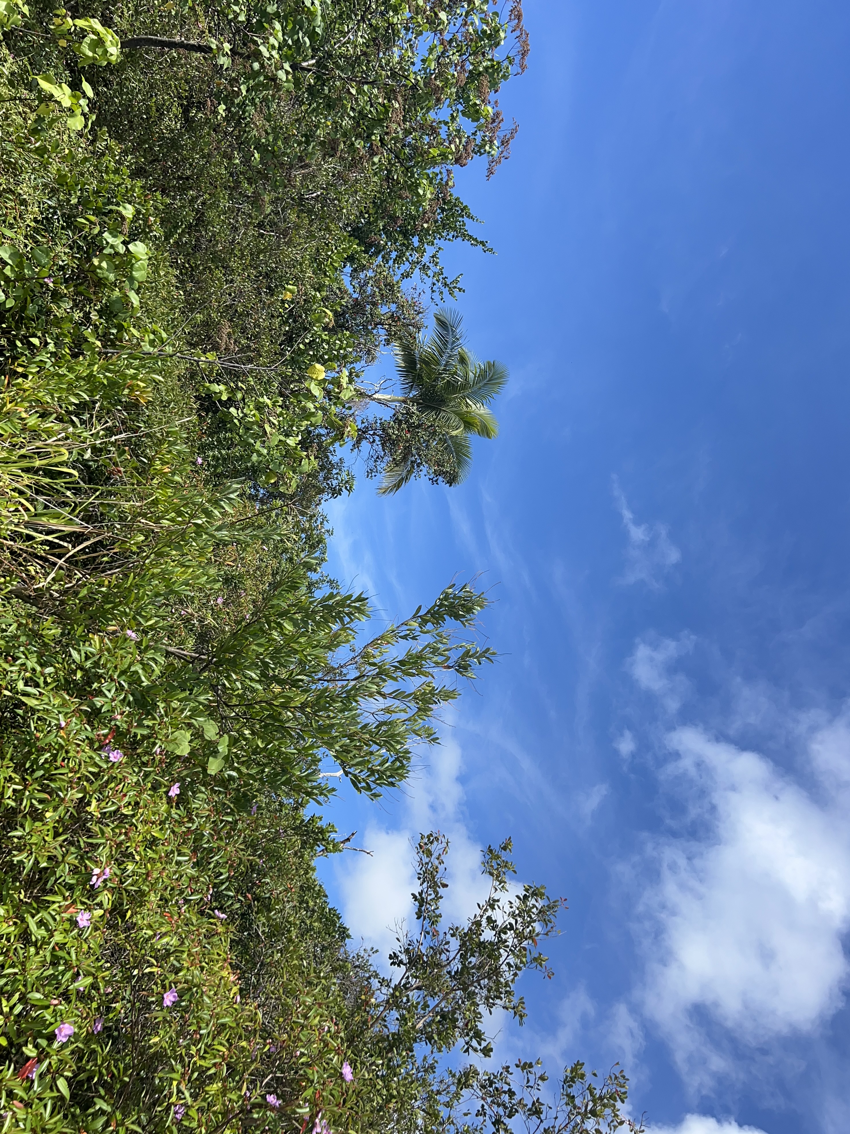 Kukuau St Property Photo 17