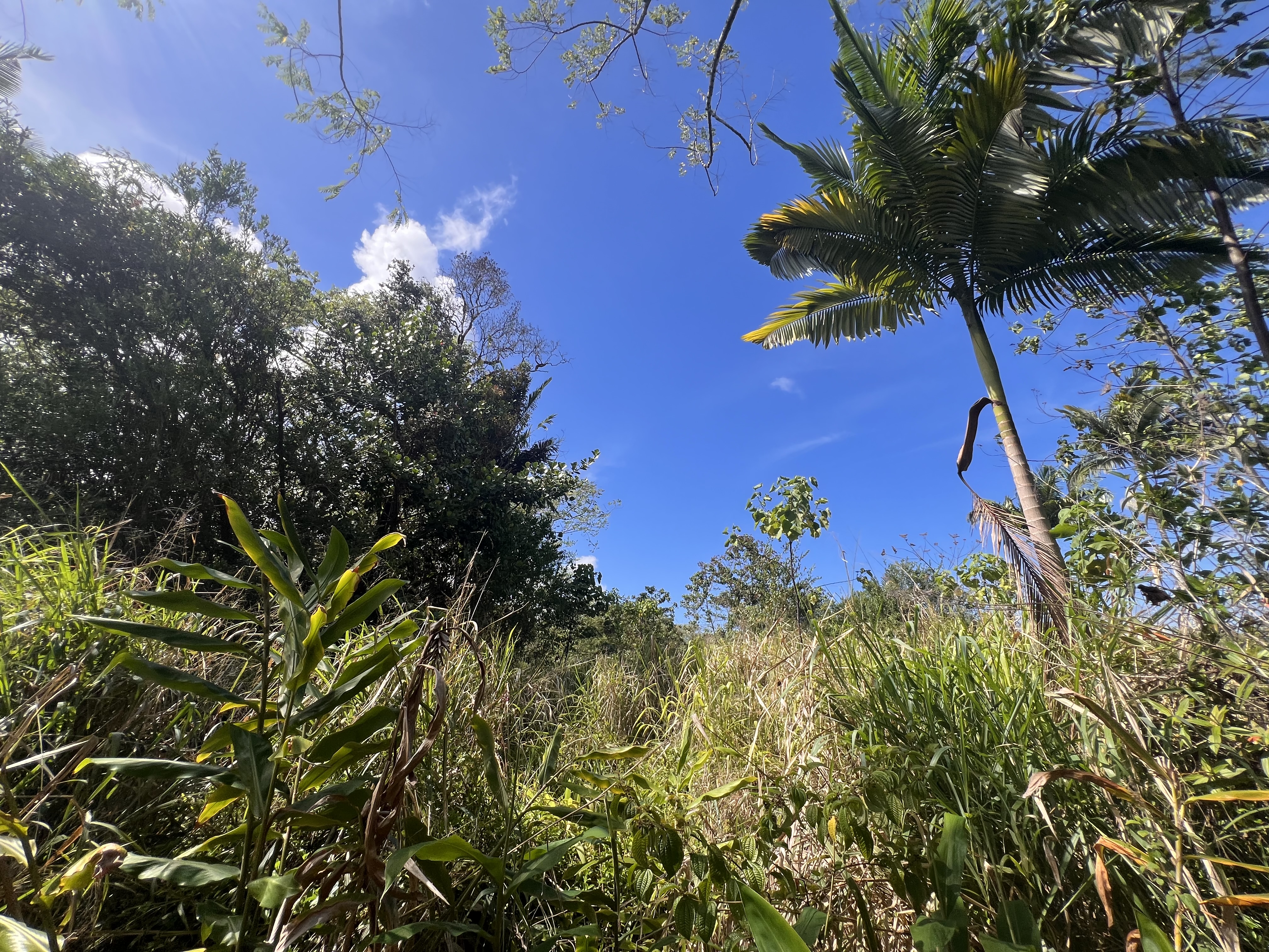 Kukuau St Property Photo 22