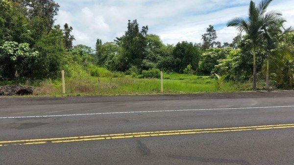 Kukuau St Property Photo 24