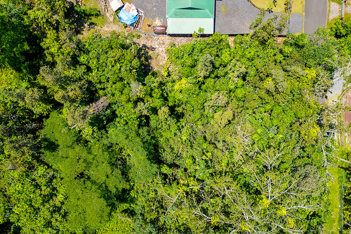 Kumu St Property Photo 4