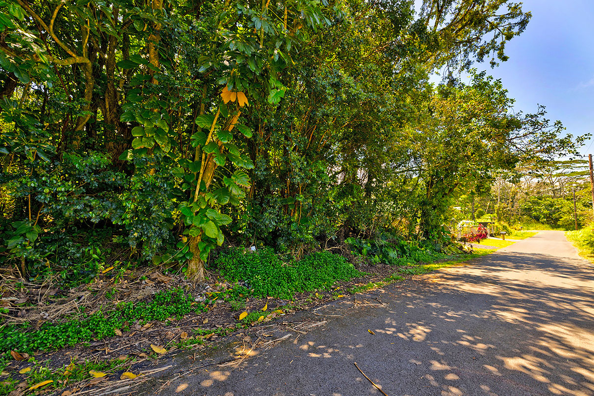 Kumu St Property Photo 5