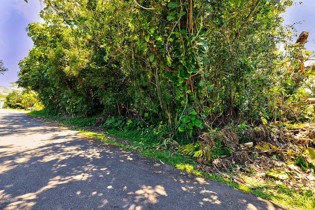 Kumu St Property Photo 6