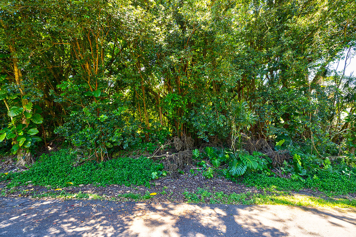 Kumu St Property Photo 7