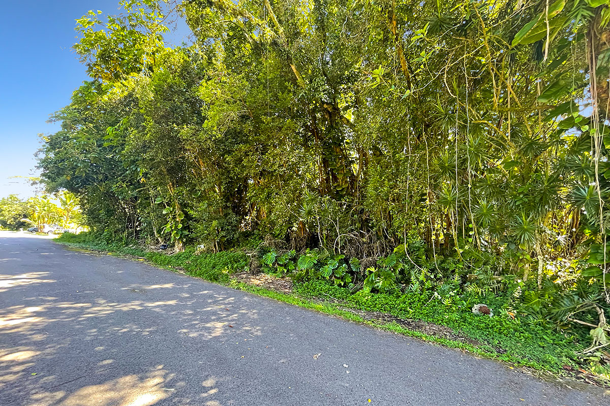 Kumu St Property Photo 8