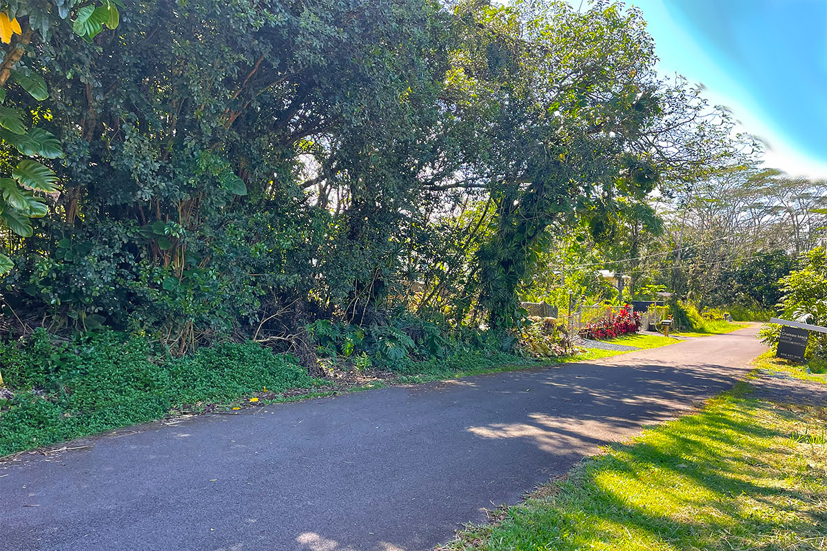 Kumu St Property Photo 9