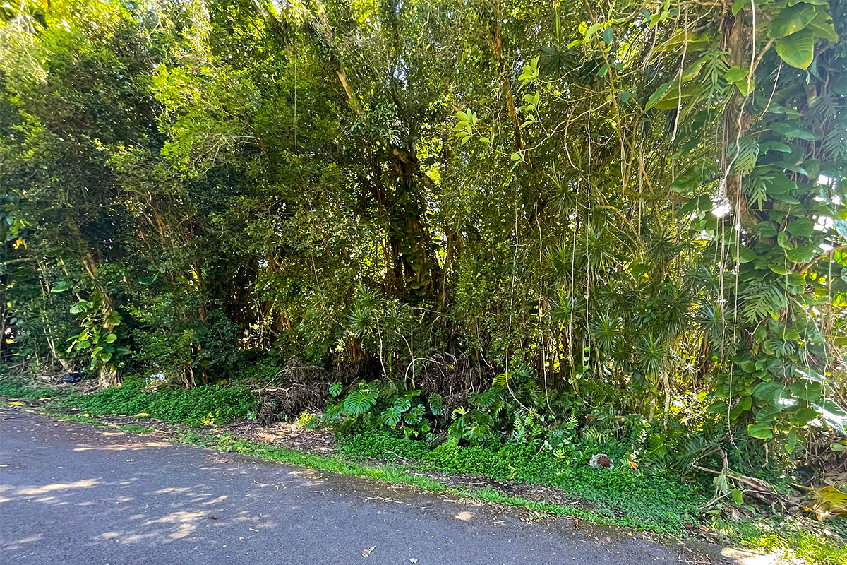 Kumu St Property Photo 10